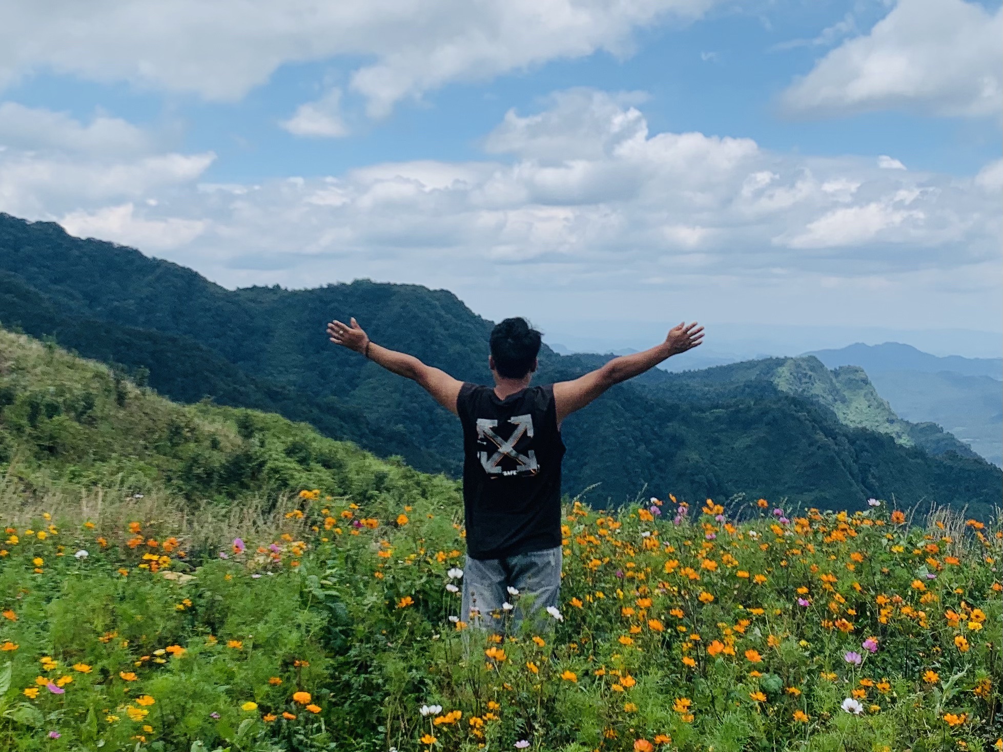 全达风车花海旅行图片 1