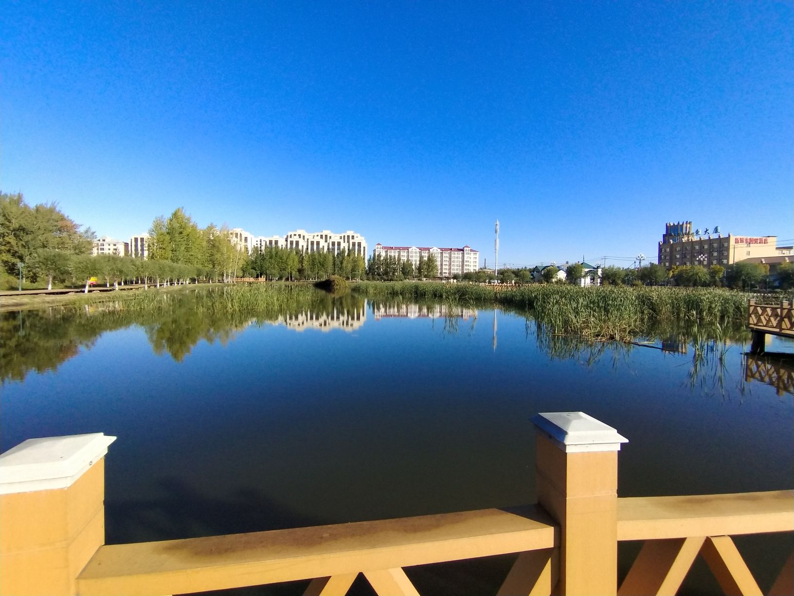 新远东湿地公园旅行图片 3