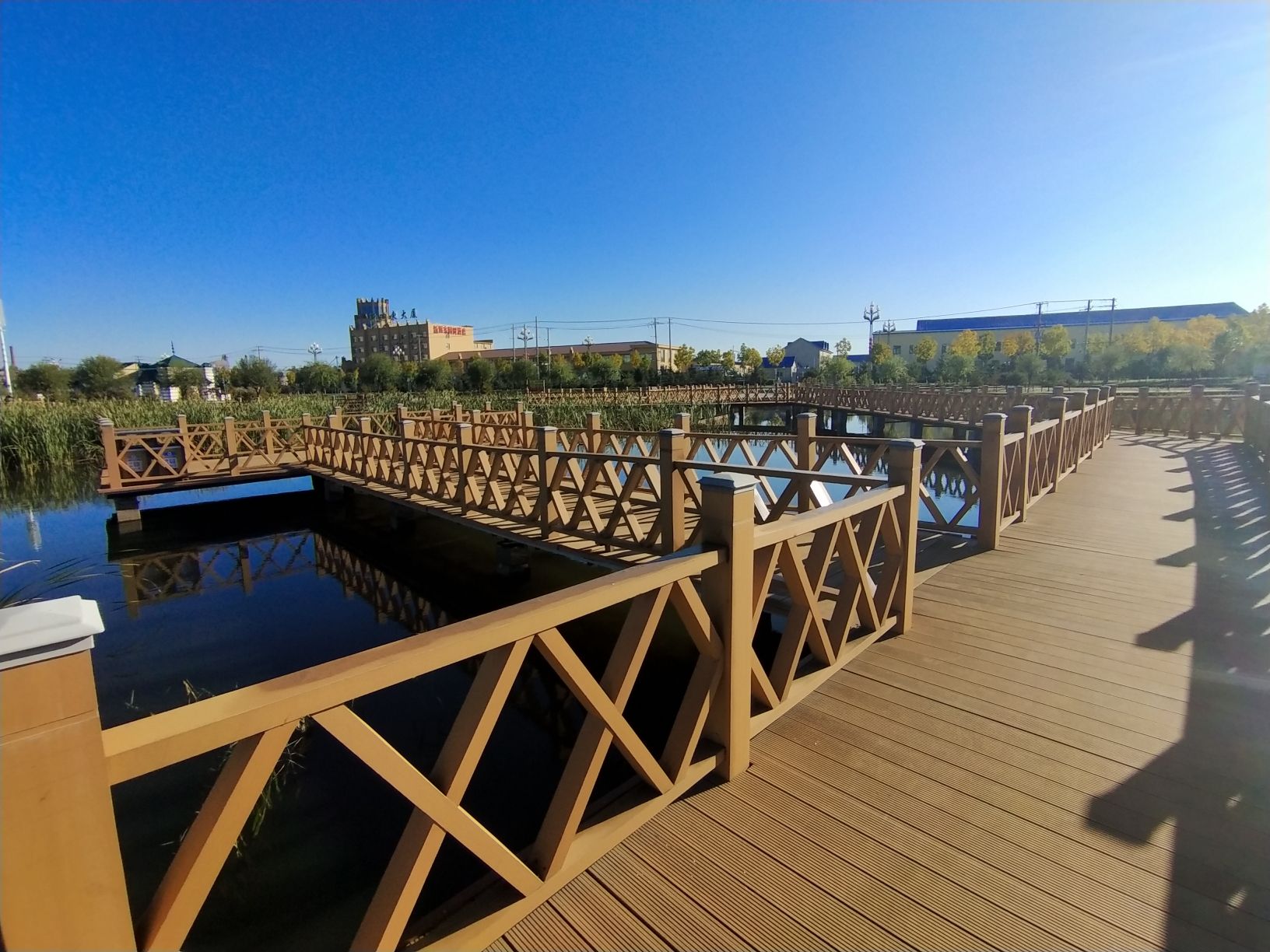 新远东湿地公园旅行图片 2
