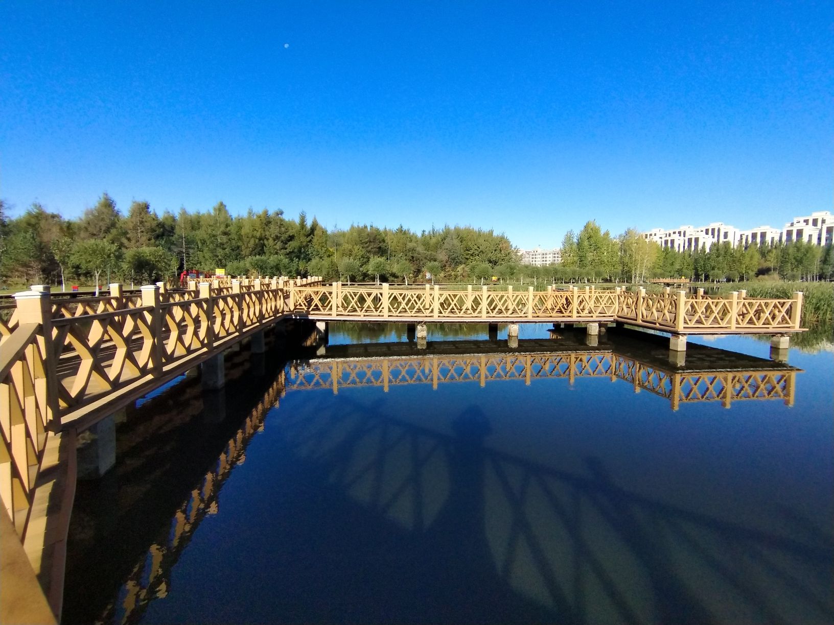 新远东湿地公园旅行图片 1