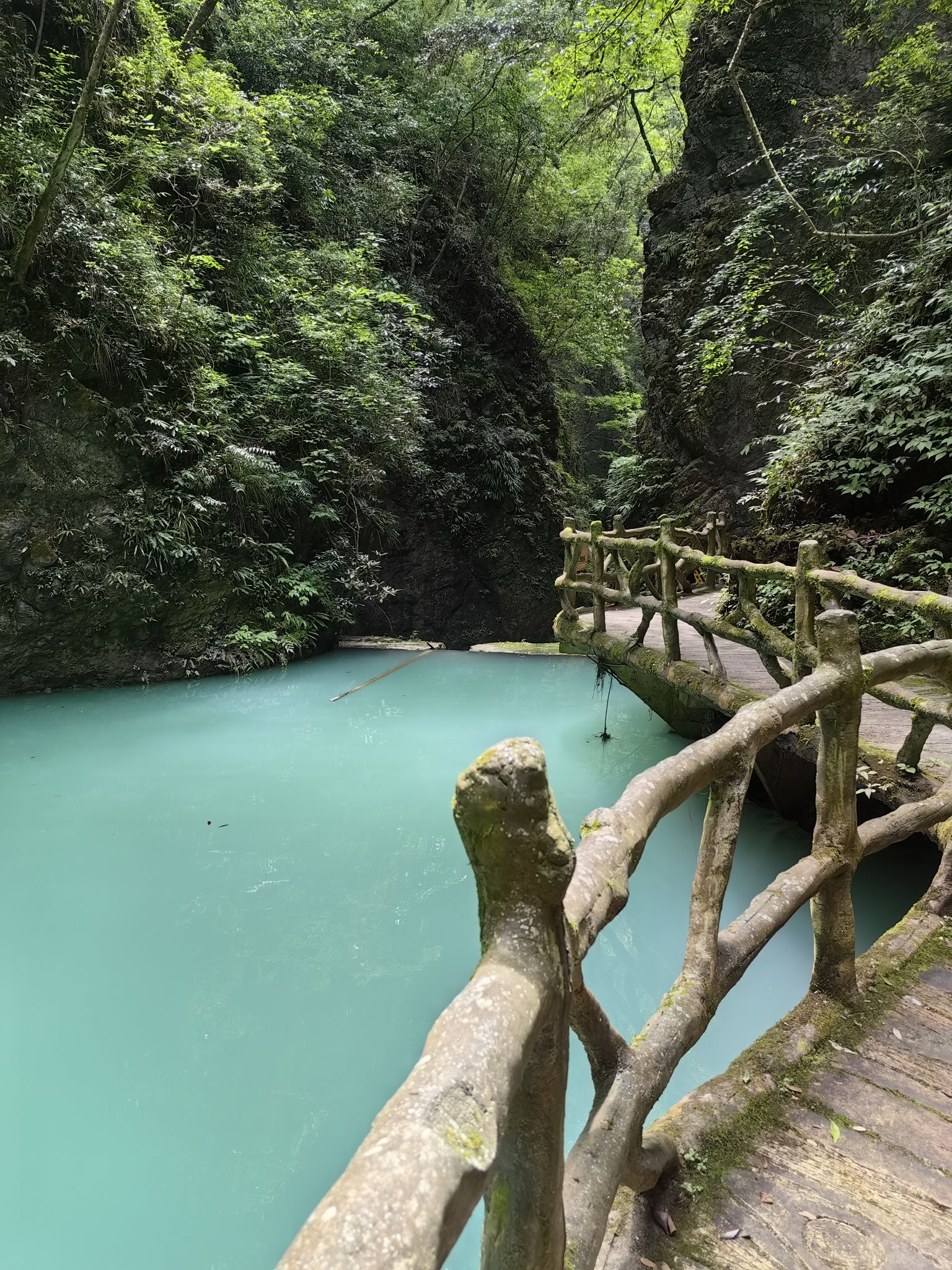 尧治河旅游度假区旅行图片 1