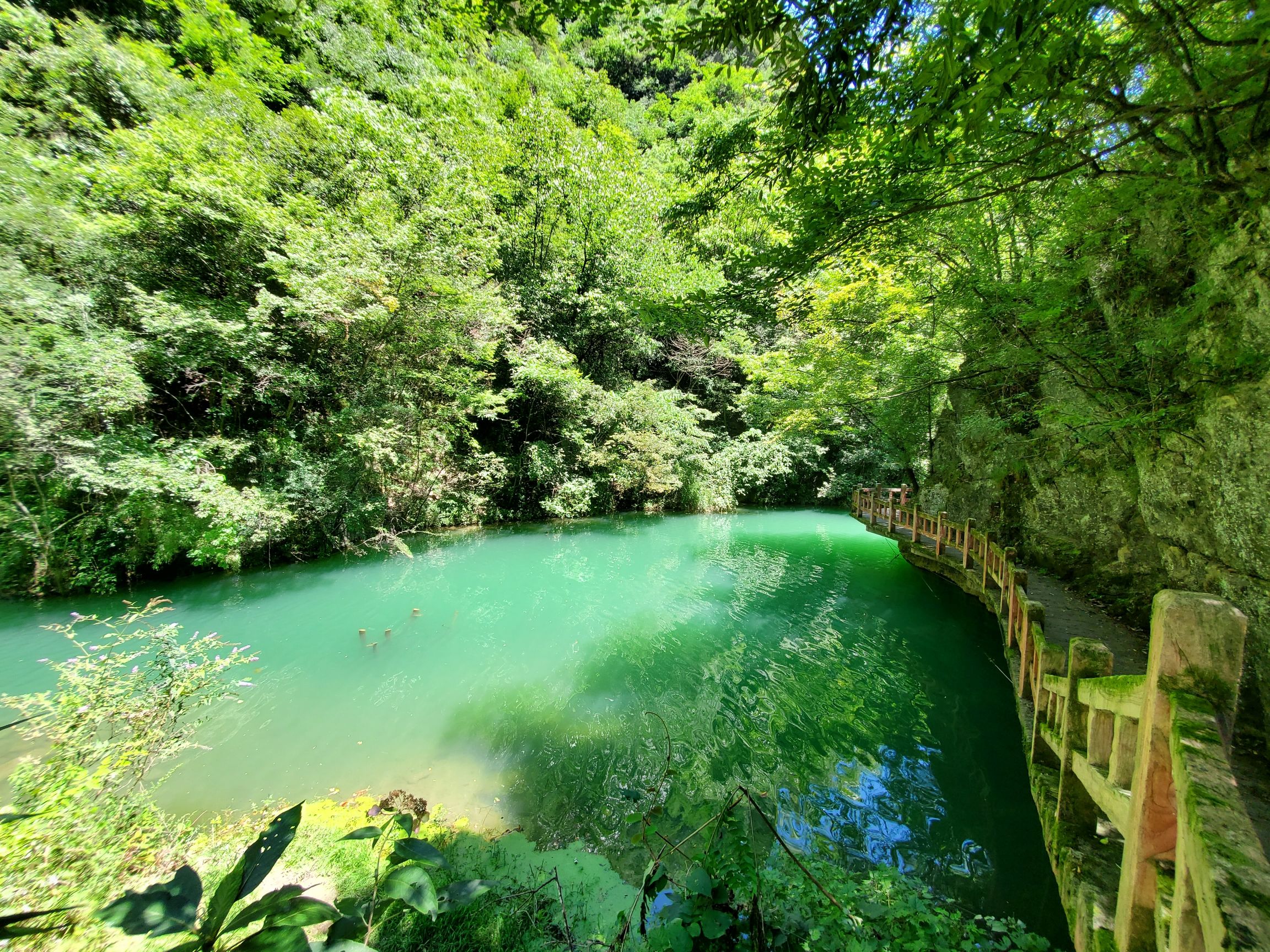尧治河旅游度假区旅行图片 2