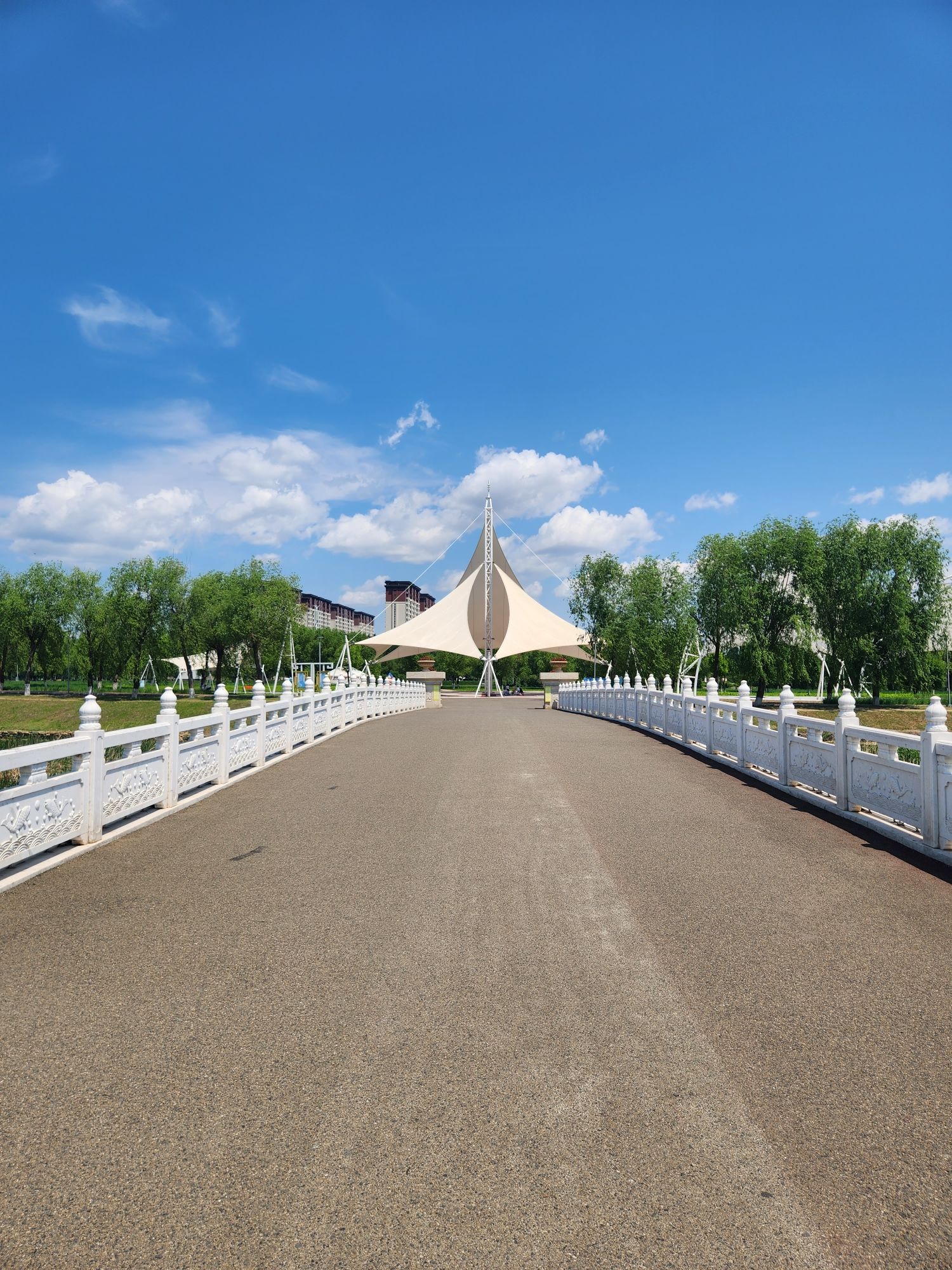 洮儿河生态公园旅行图片 2