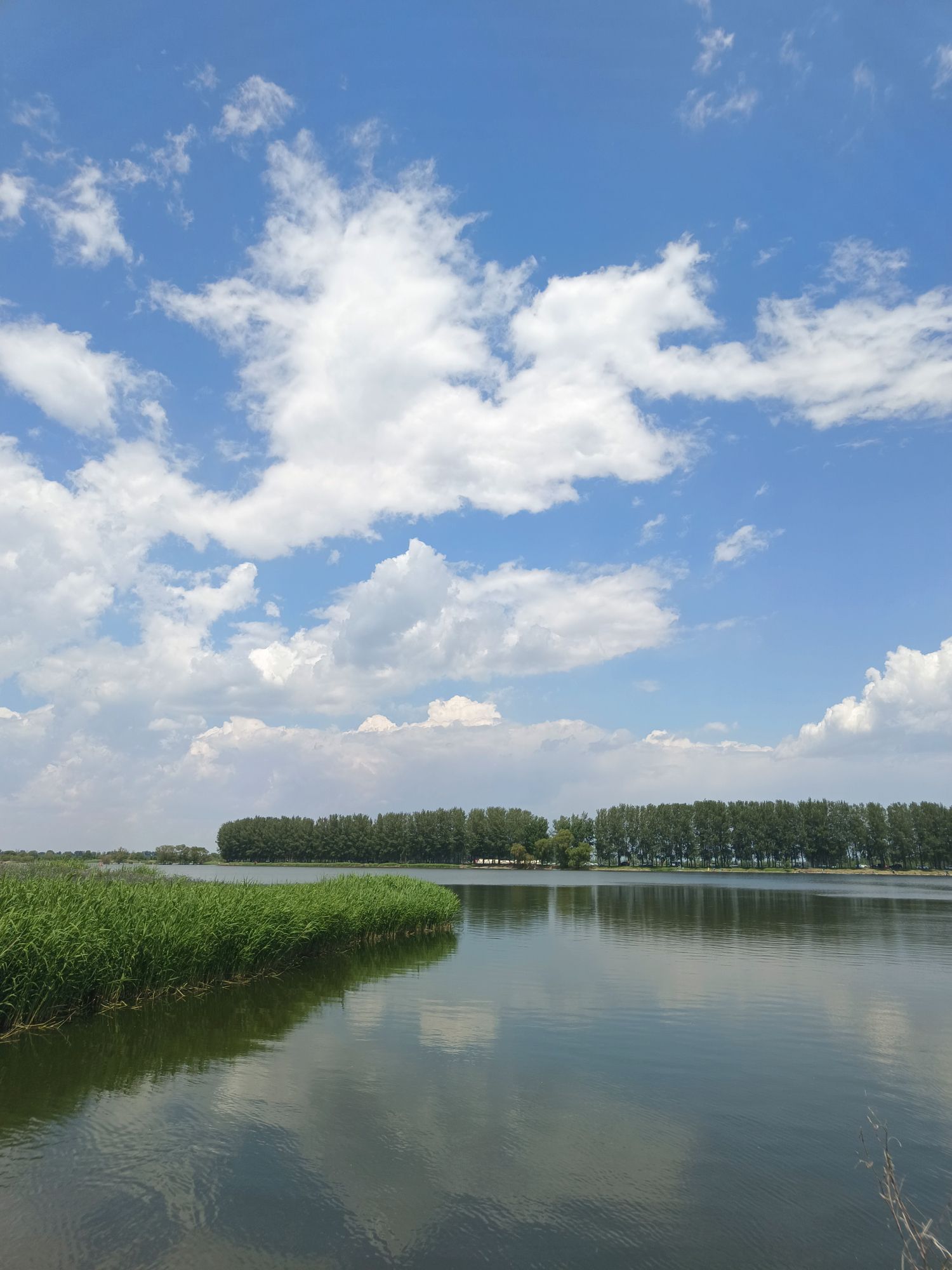 沈阳溪溪湖湿地公园