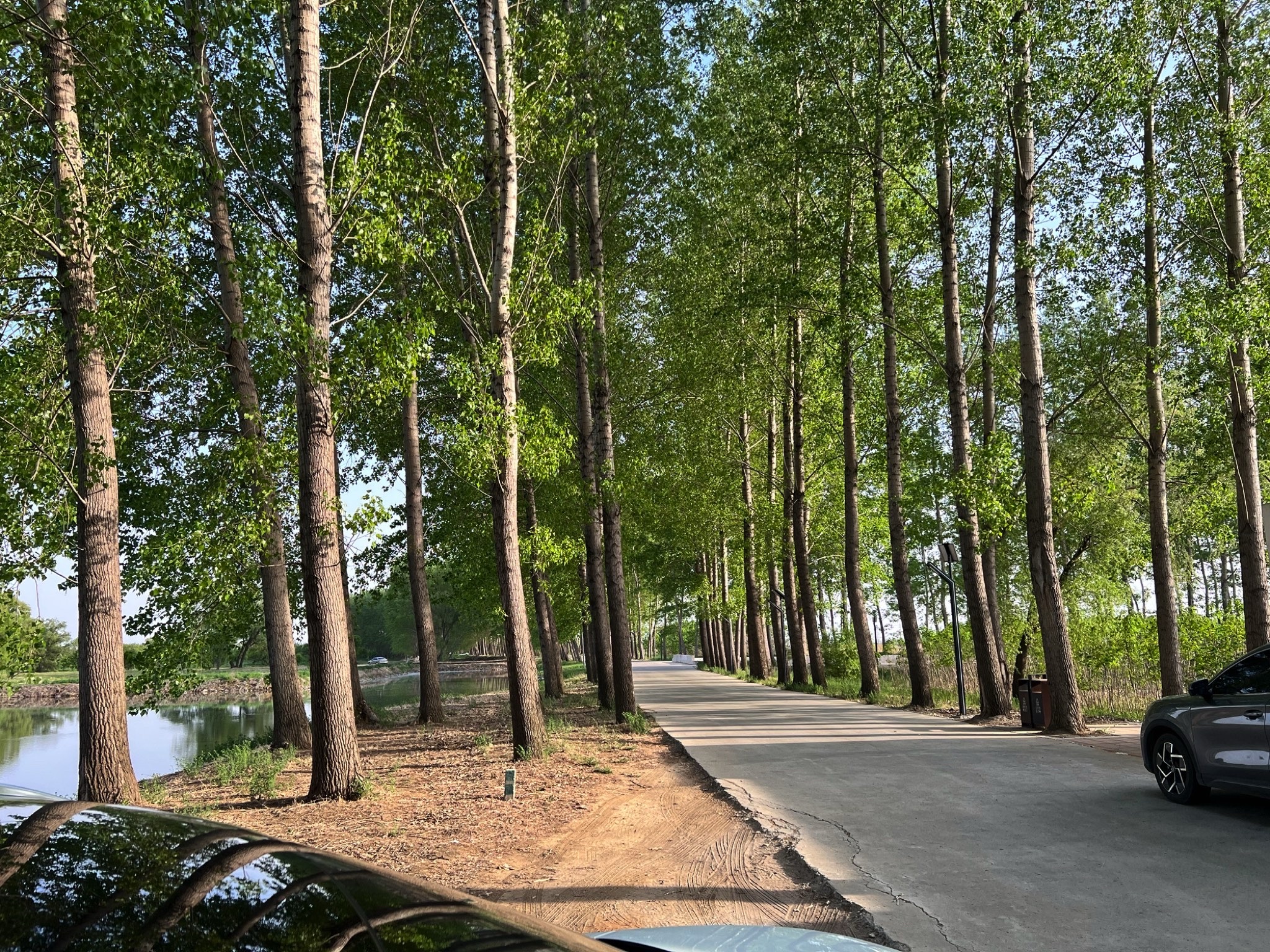 沈阳溪溪湖湿地公园旅行图片 1