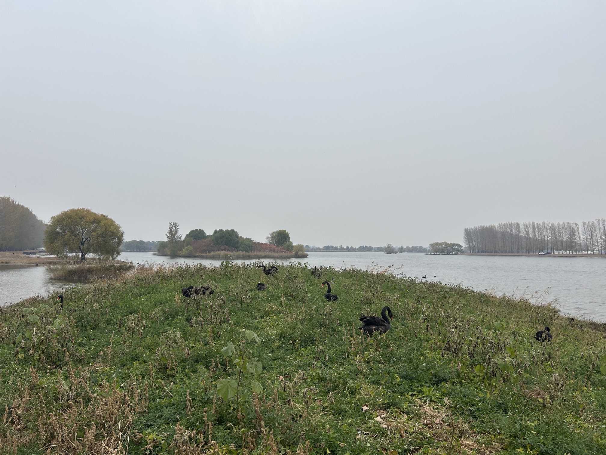 沈阳溪溪湖湿地公园旅行图片 2