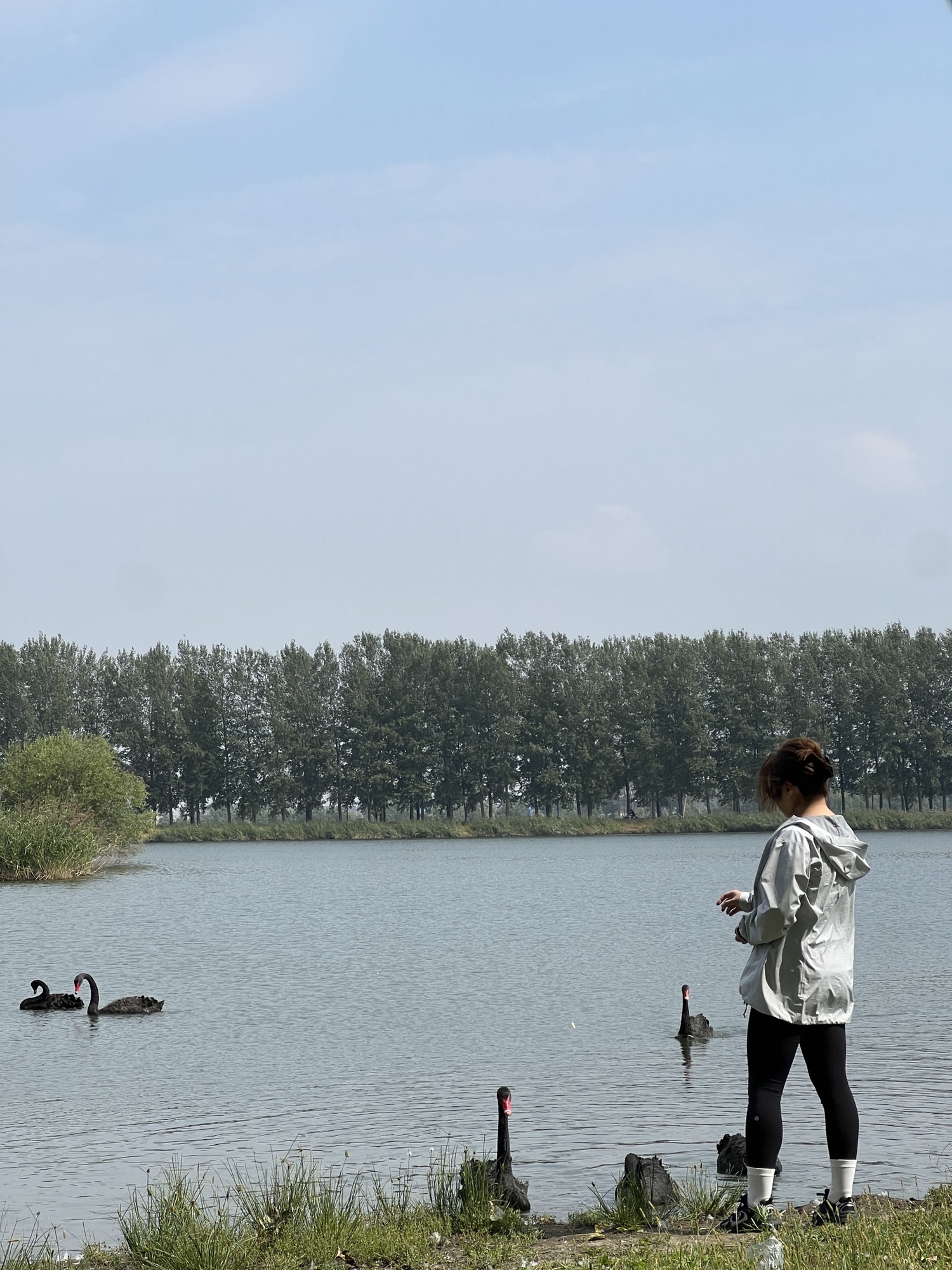 沈阳溪溪湖湿地公园旅行图片 1