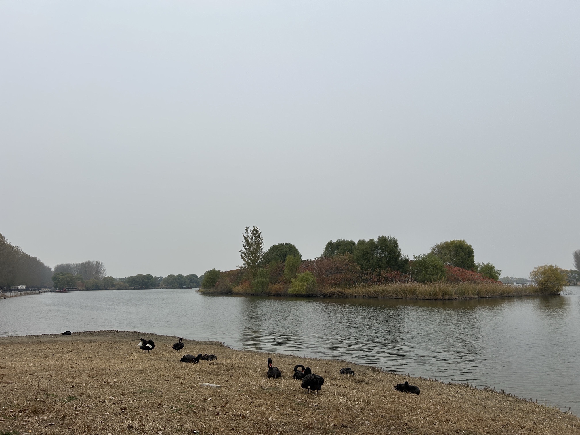 沈阳溪溪湖湿地公园旅行图片 3