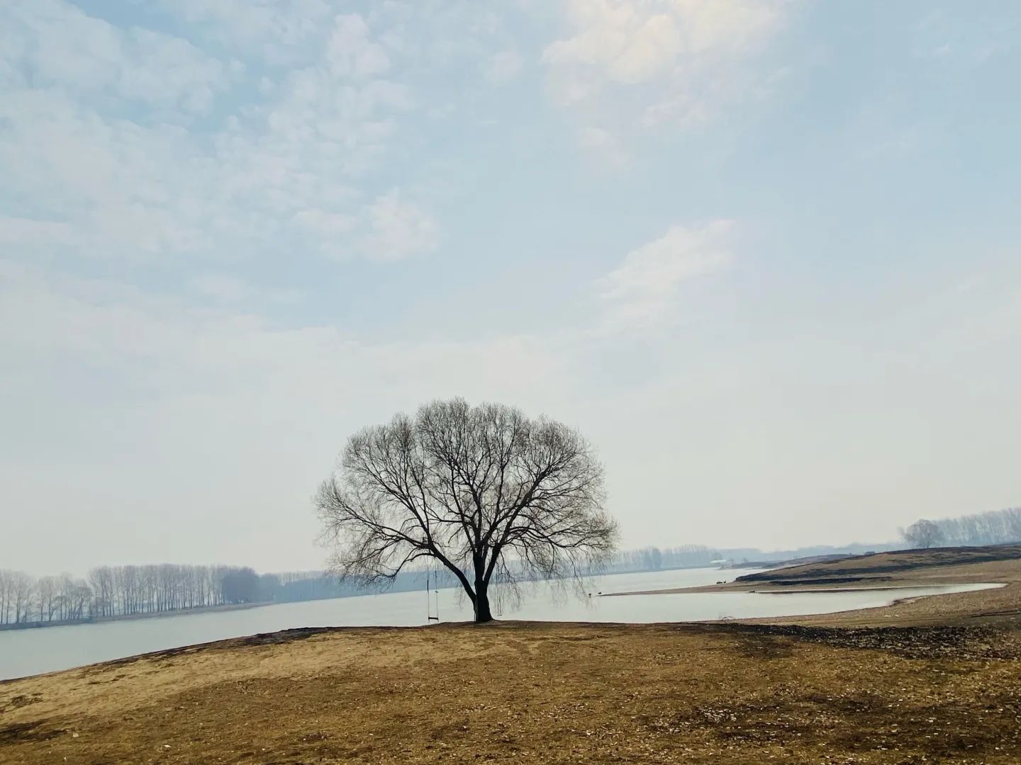 沈阳溪溪湖湿地公园旅行图片 3