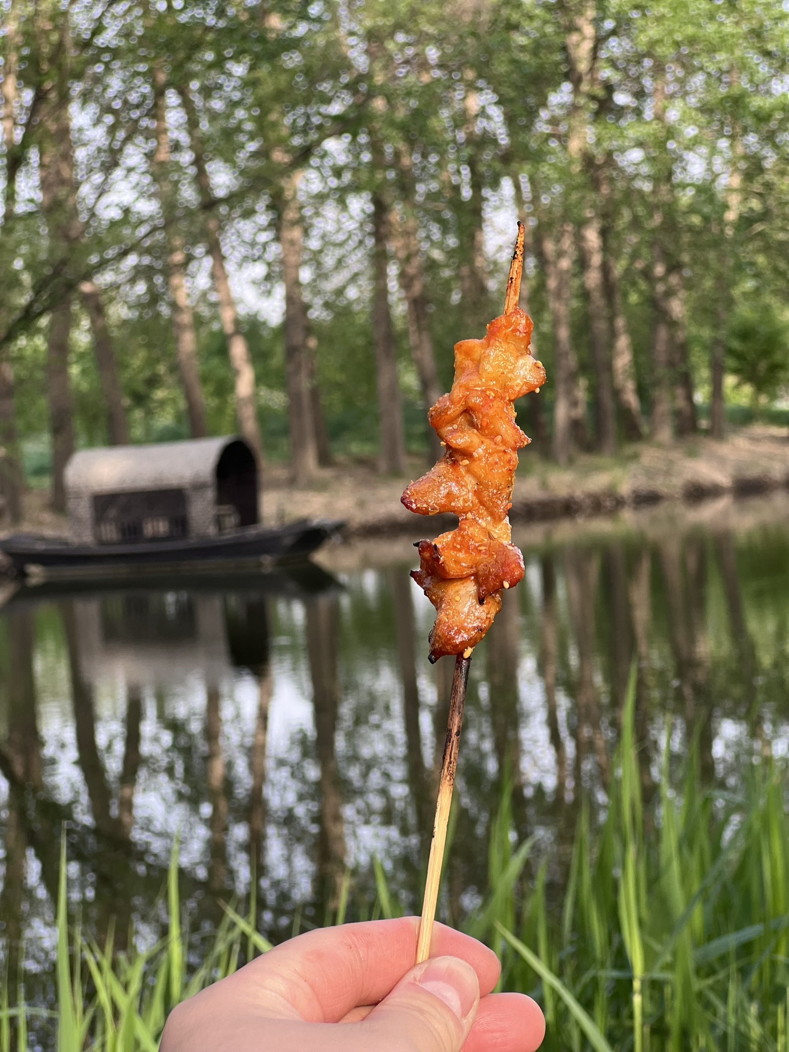 沈阳溪溪湖湿地公园旅行图片 2