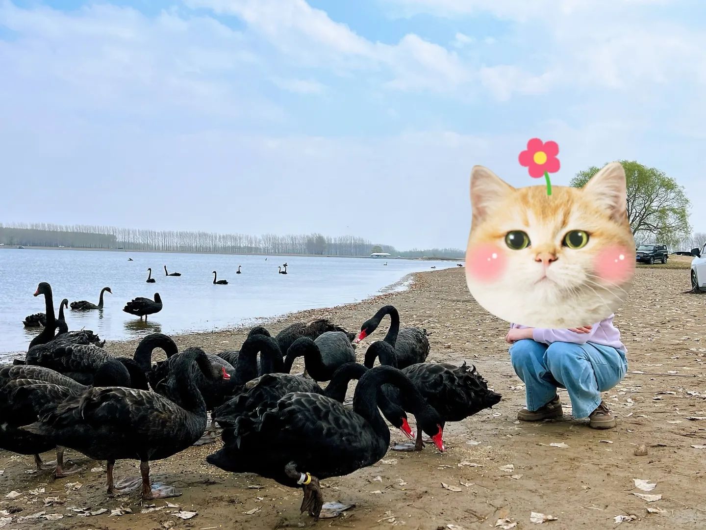沈阳溪溪湖湿地公园旅行图片 1
