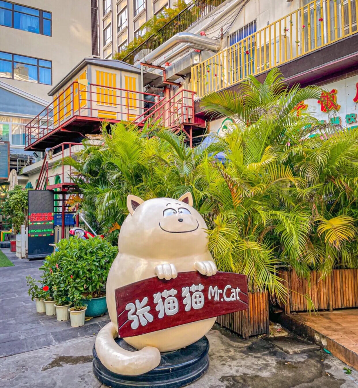 张猫猫的店(三亚湾店)(暂停营业)