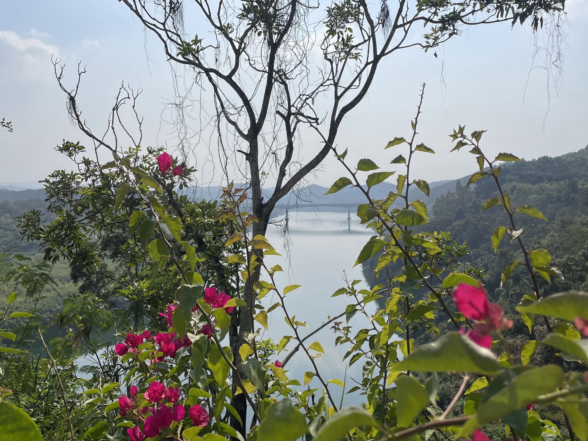 第一湾观景台旅行图片 3