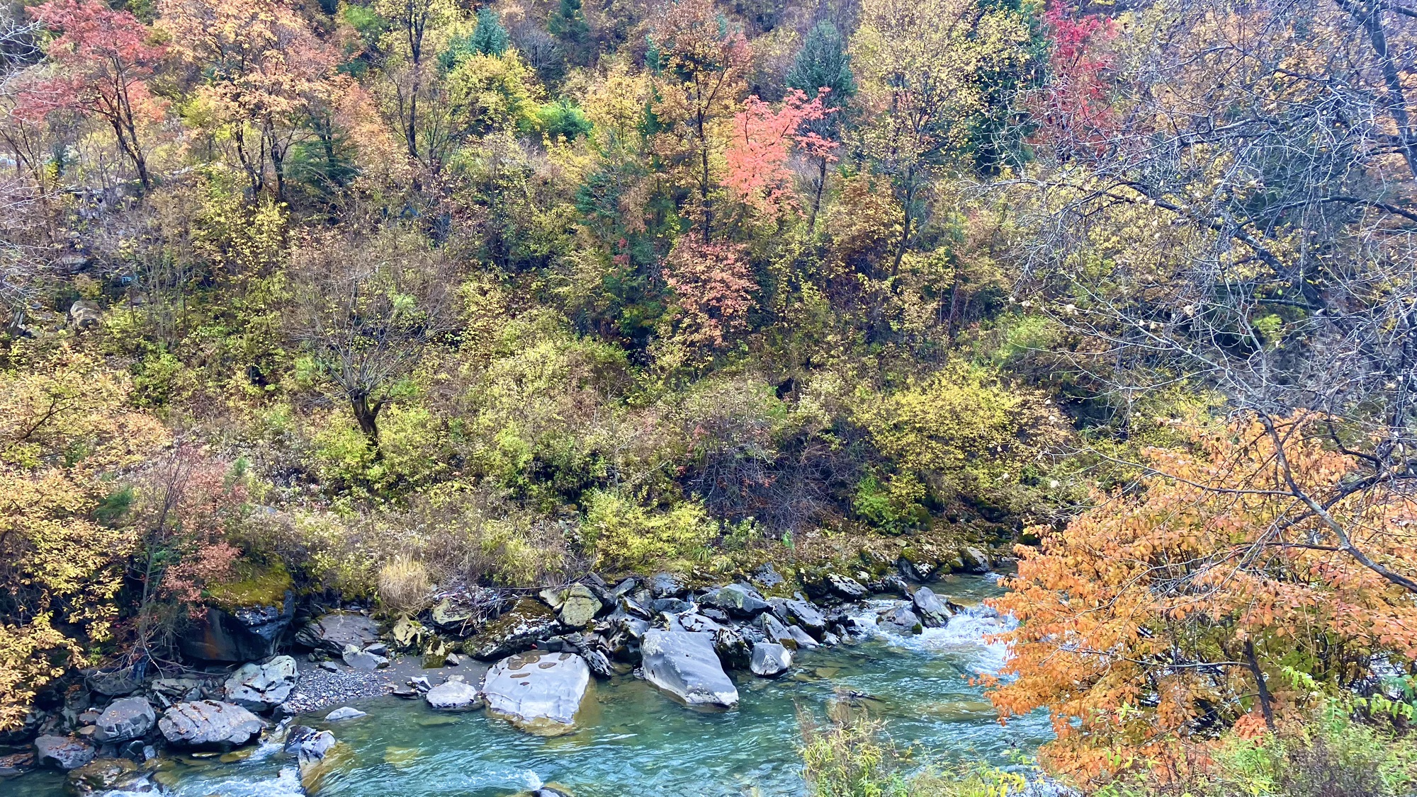 奶子沟彩林公园青杠坡观景点旅行图片 2