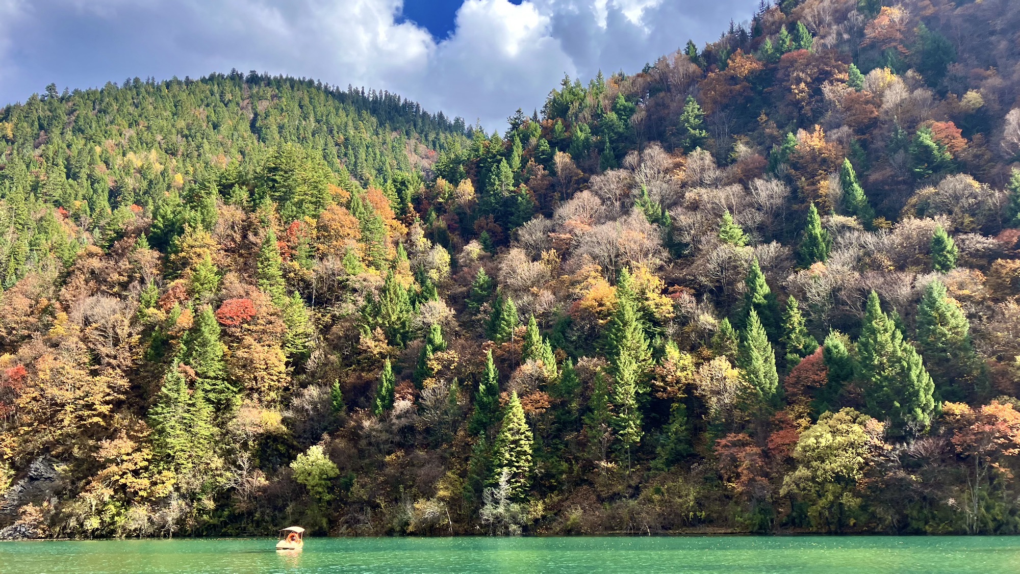 奶子沟彩林公园青杠坡观景点旅行图片 3