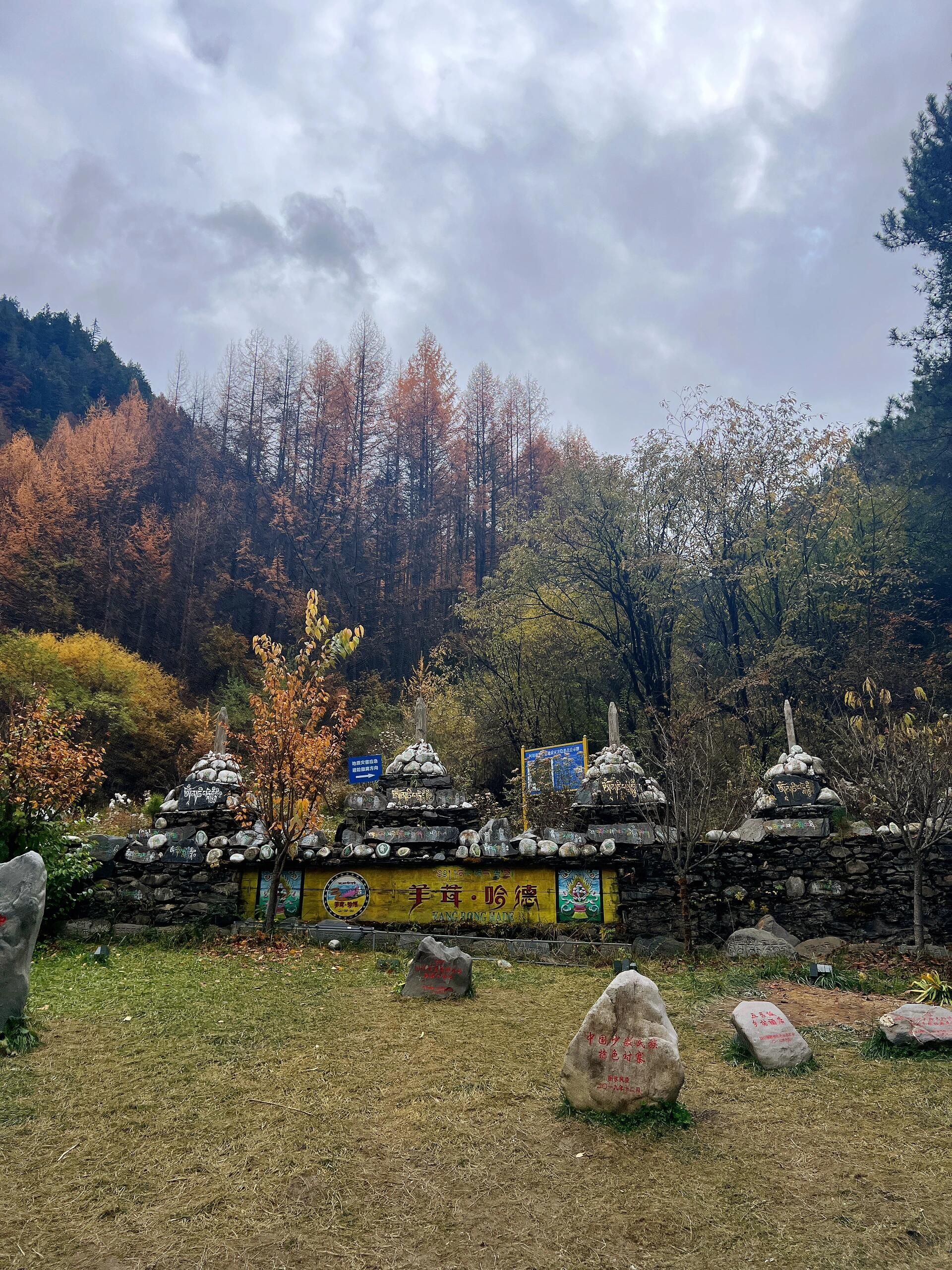 奶子沟彩林公园青杠坡观景点旅行图片 2