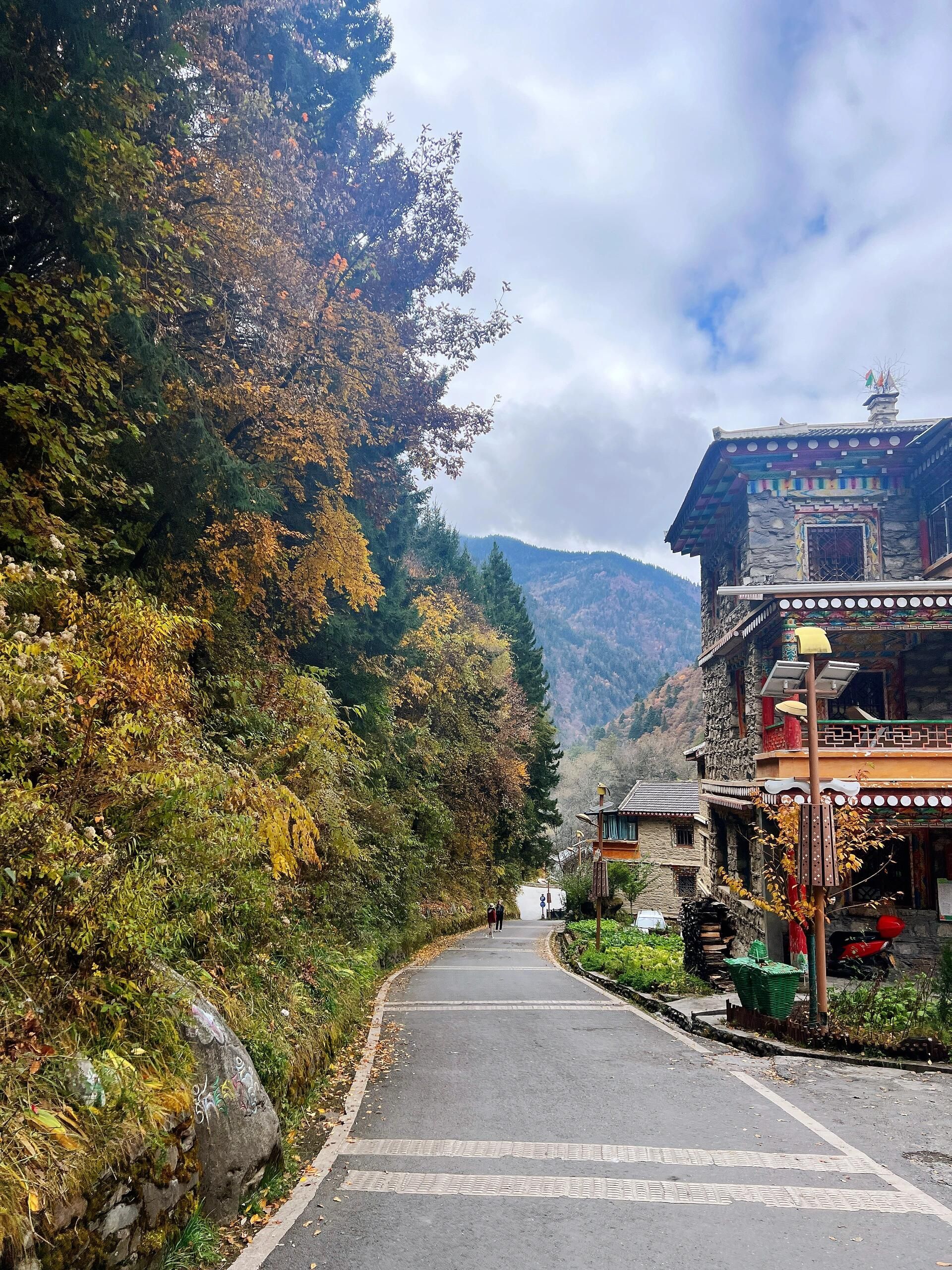 奶子沟彩林公园青杠坡观景点旅行图片 3