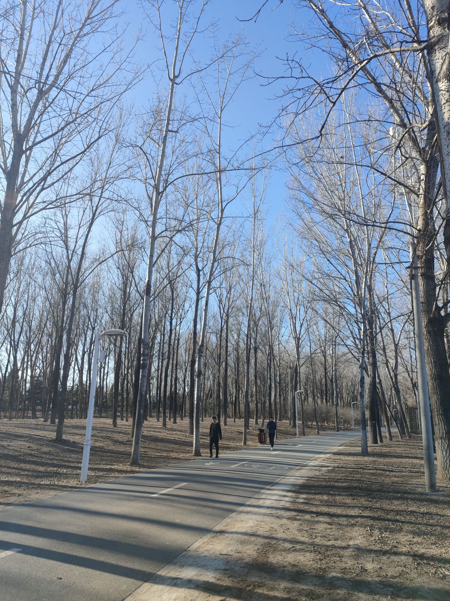 顺义新城滨河森林公园三区旅行图片 3