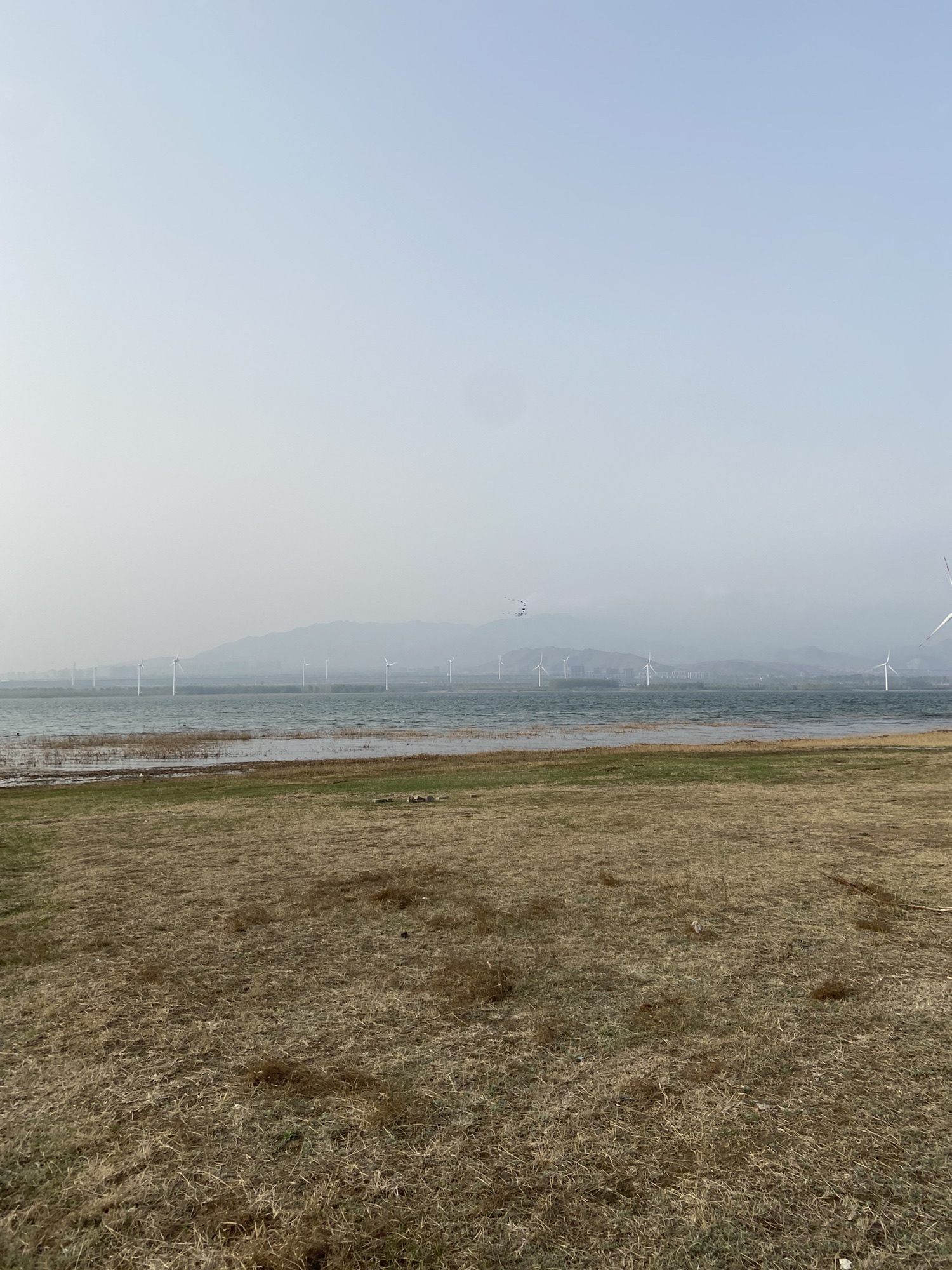 官厅湖南岸国家湿地公园(建设中)旅行图片 3