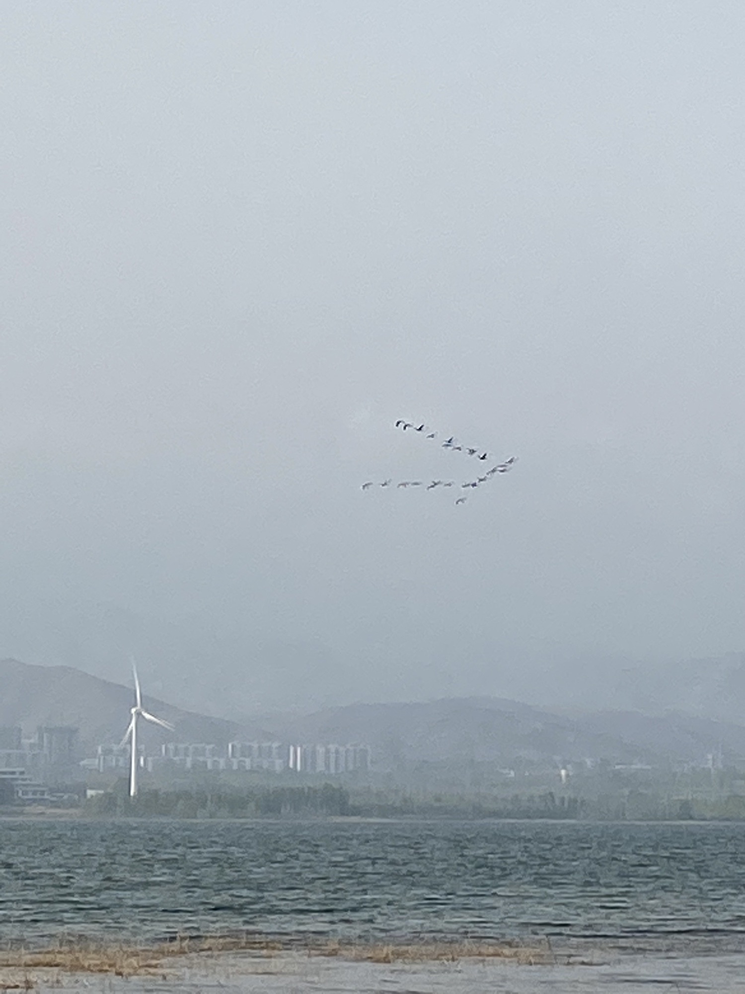 官厅湖南岸国家湿地公园(建设中)旅行图片 2