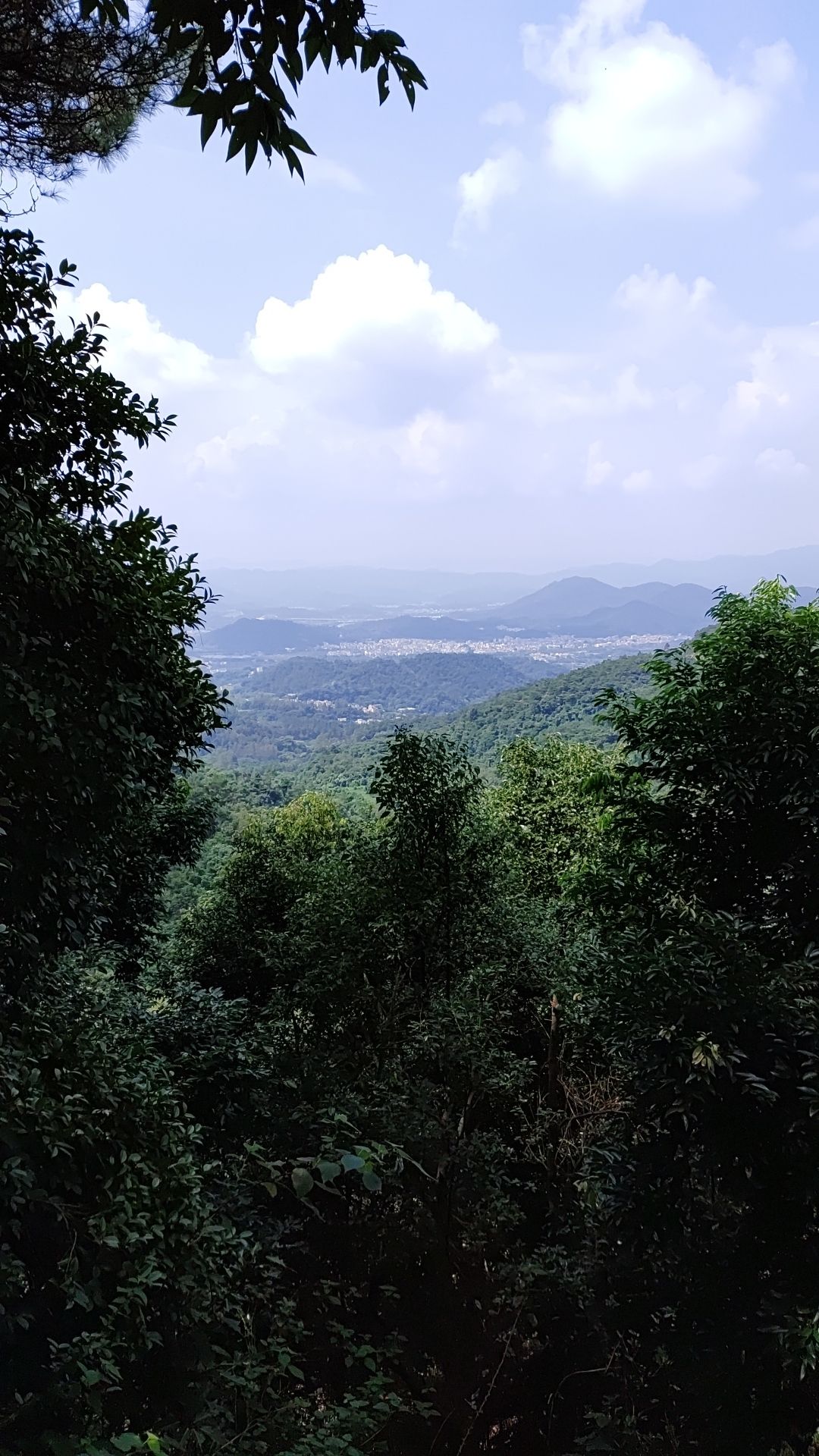 三宝寺日落观景台旅行图片 1