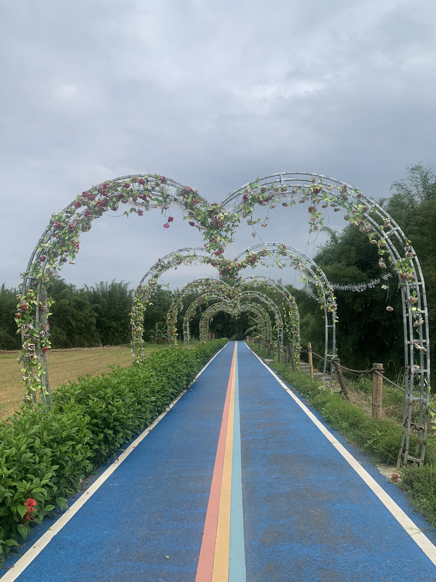 花塘花海旅行图片 1