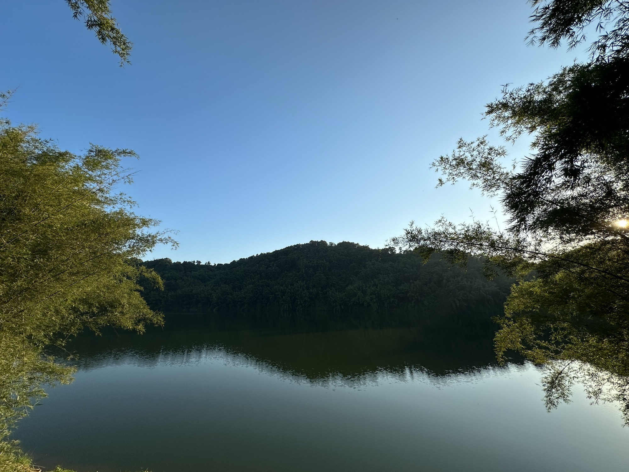 花塘花海旅行图片 1