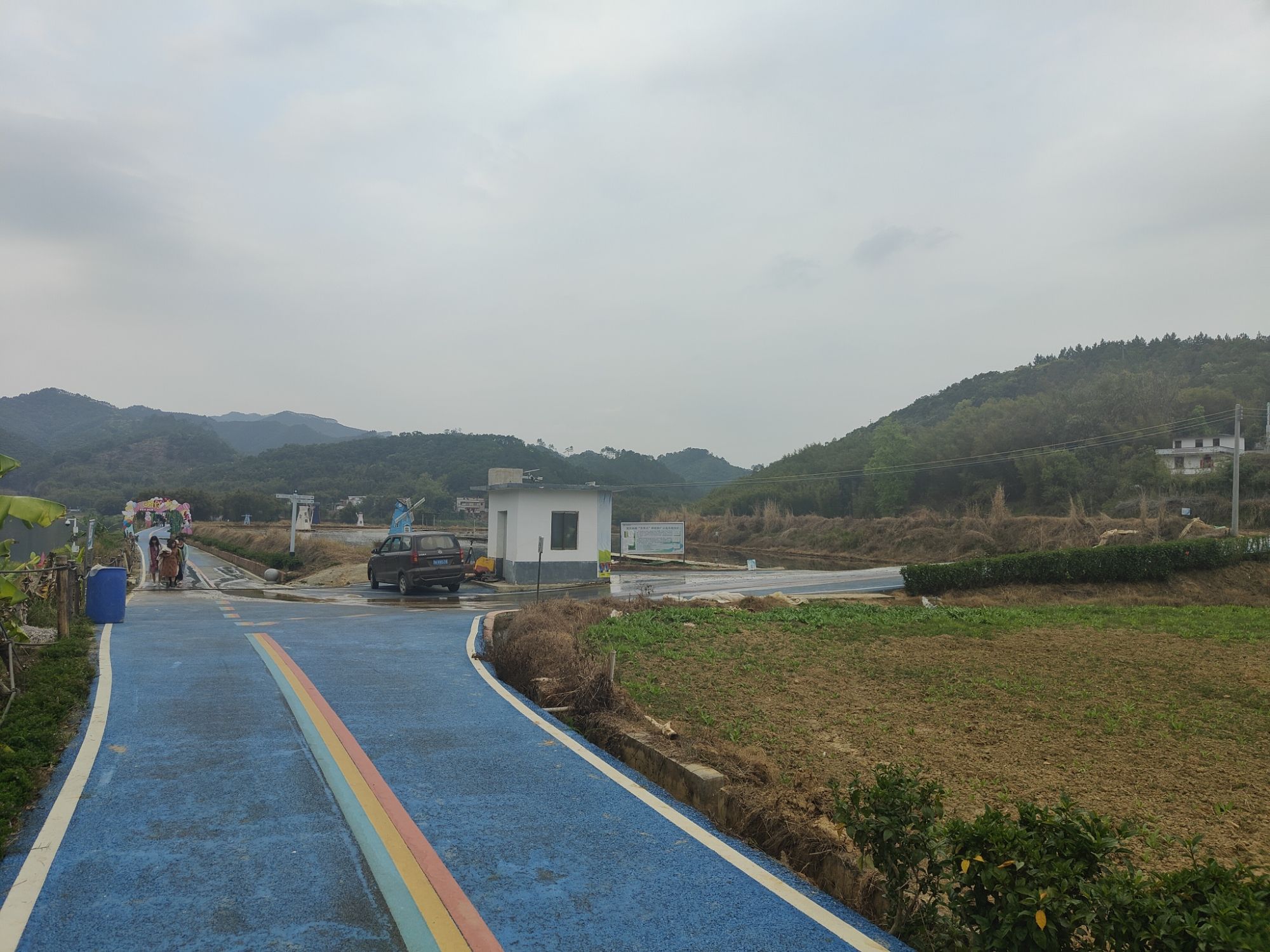 花塘花海旅行图片 2