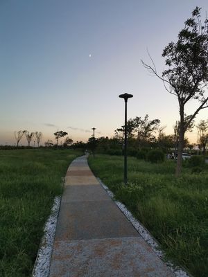中新生态城观澜角公园旅行图片 1