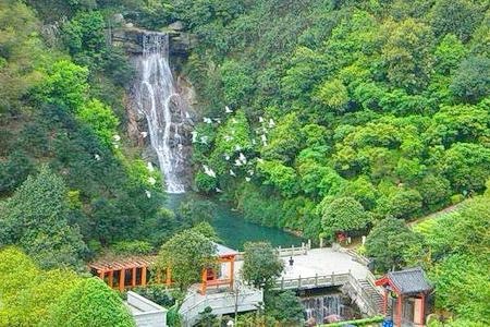 上茶园古岭脚瀑布旅行图片 1
