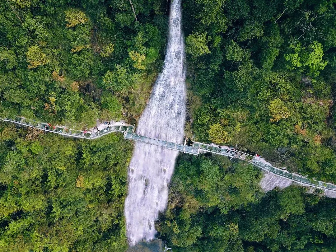 上茶园古岭脚瀑布旅行图片 3