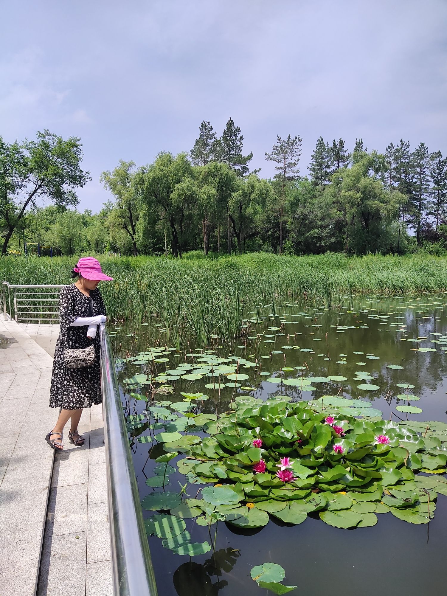 集贤县水源山公园旅行图片 2