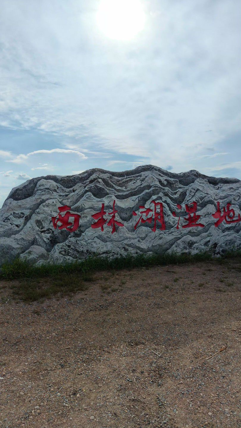 明水县西林湖湿地旅行图片 1