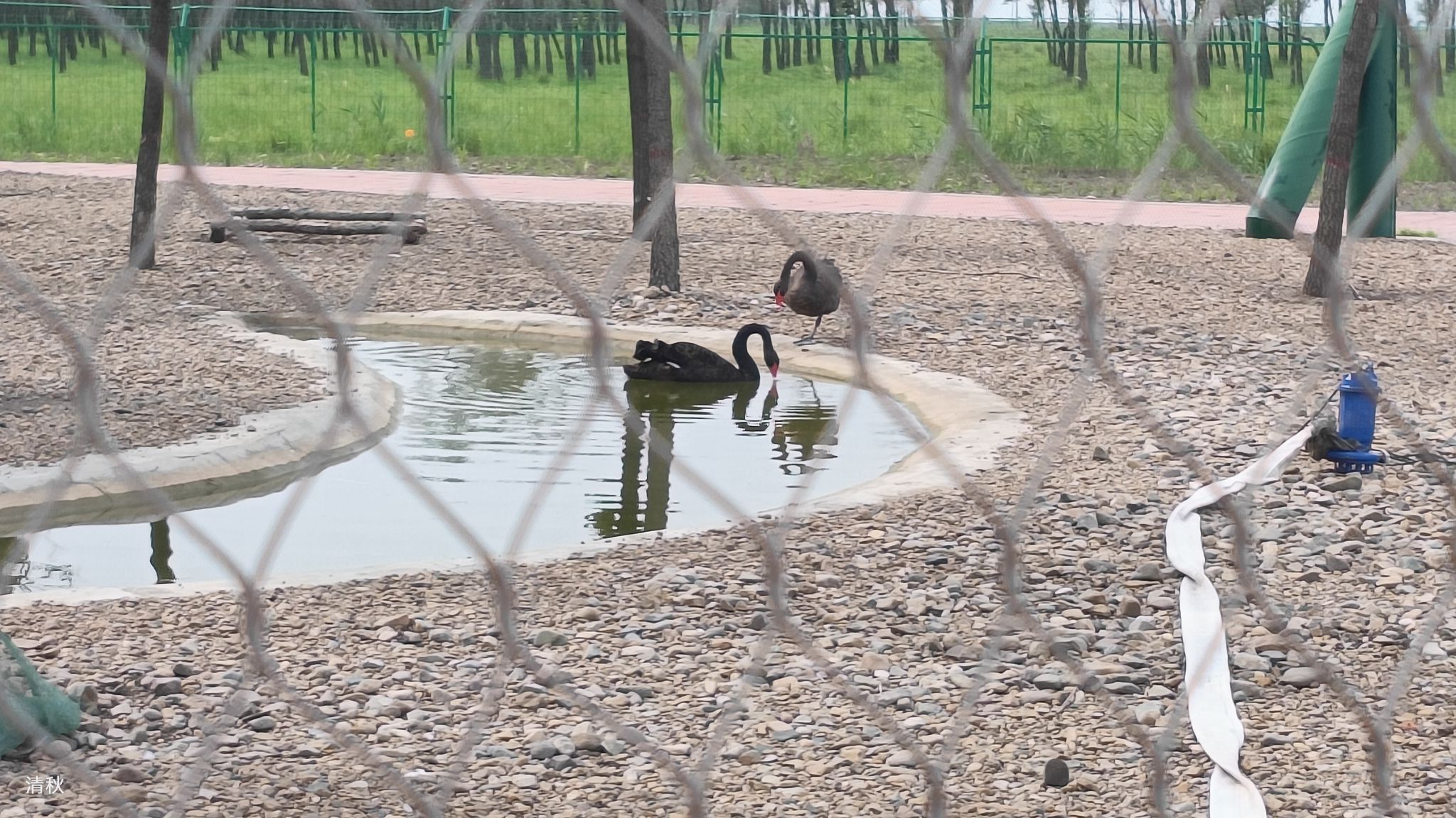 明水县西林湖湿地旅行图片 3