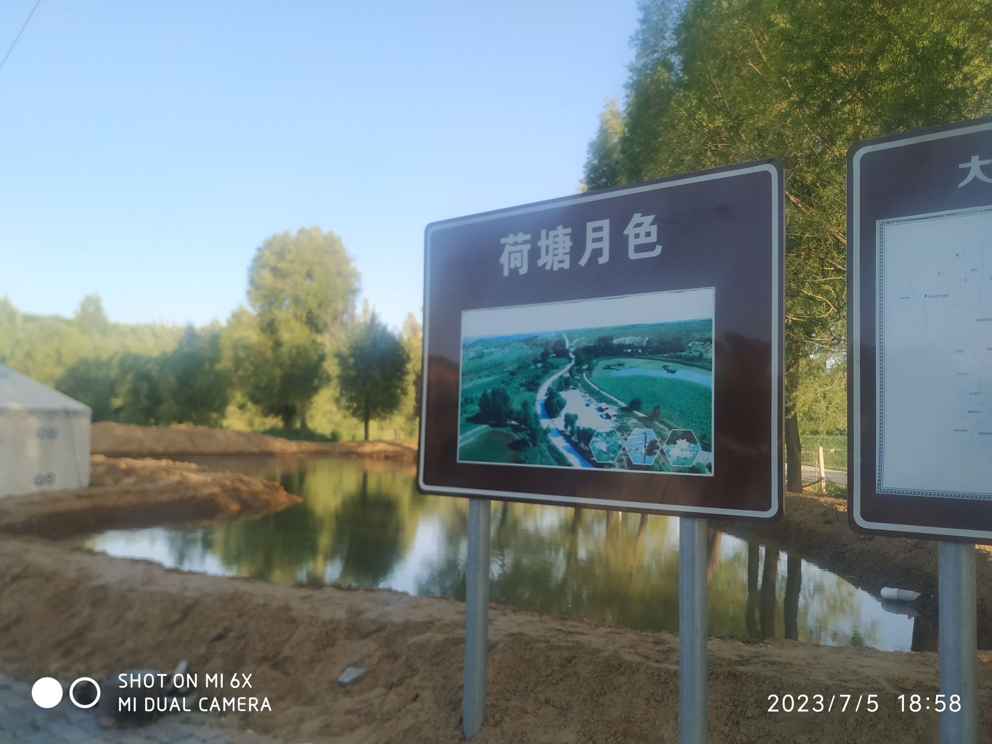 大路镇大树湾村荷塘月色旅行图片 1