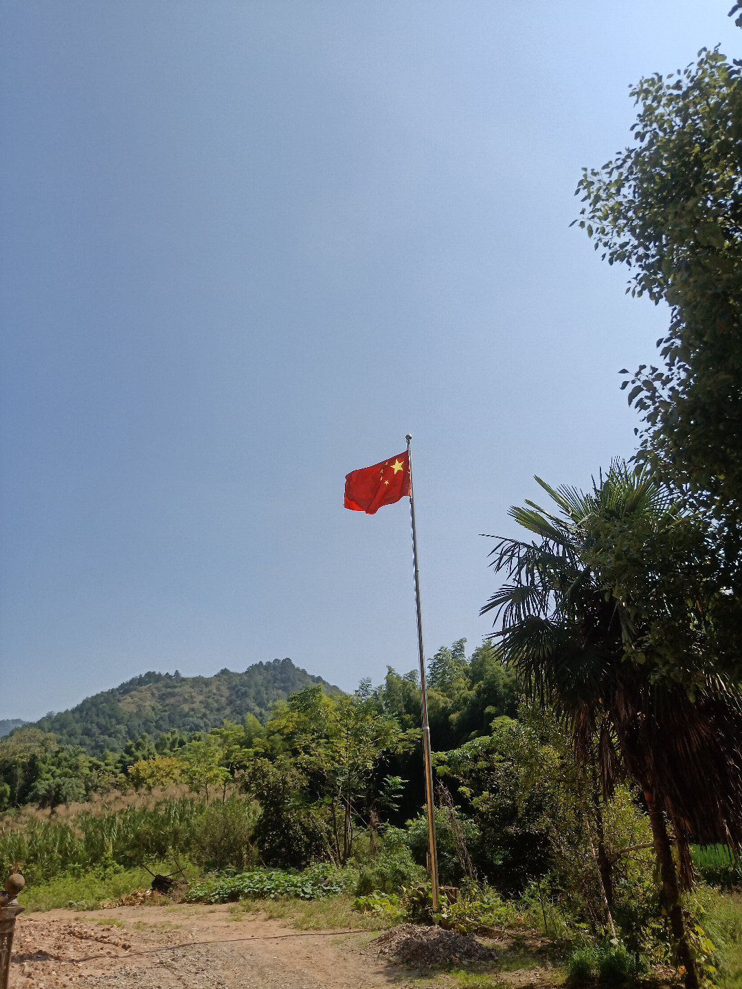东南殿旅行图片 2