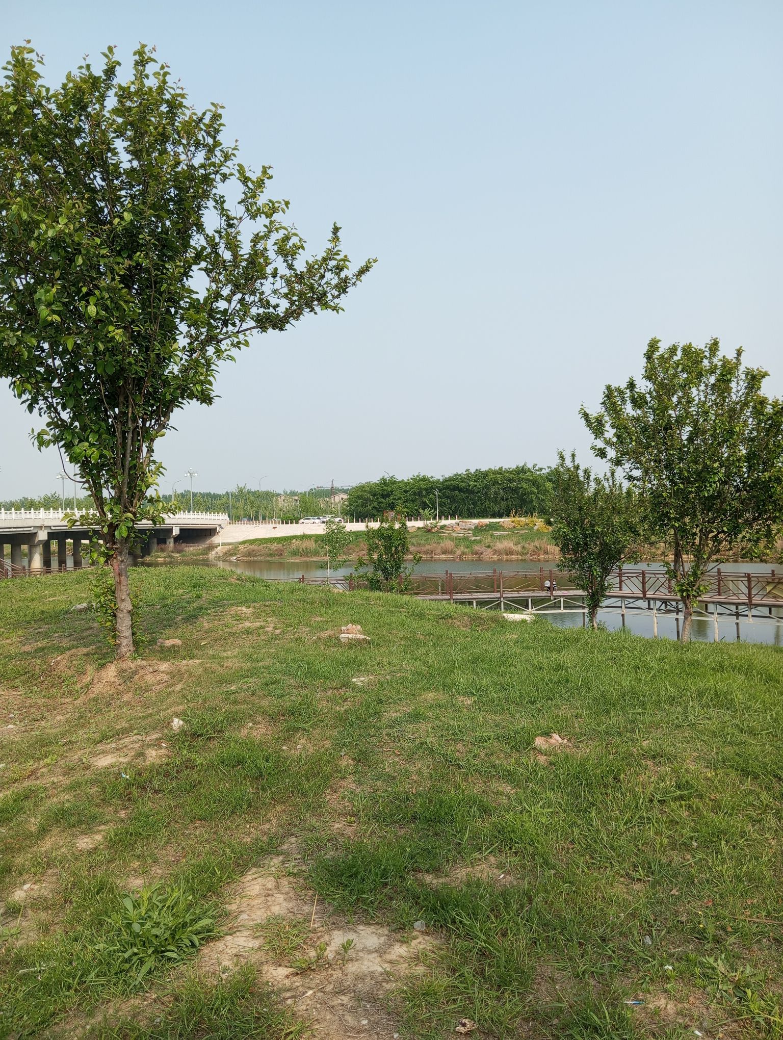 单县人工沙滩旅行图片 2