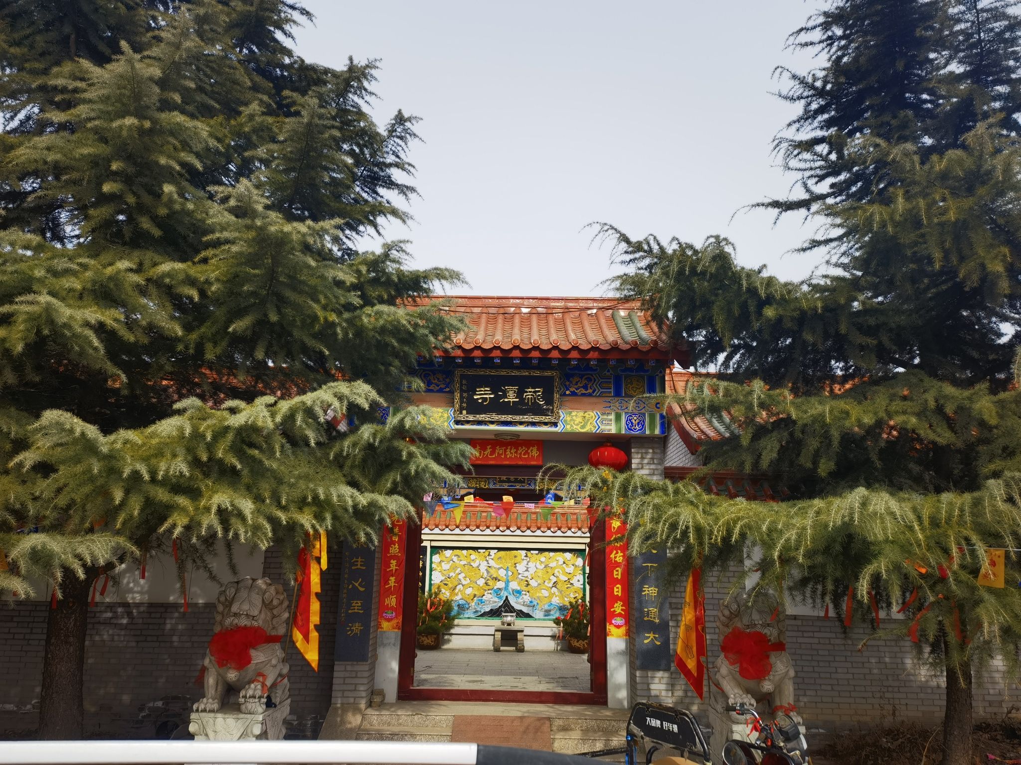 大王镇北村千年古槐旅行图片 2