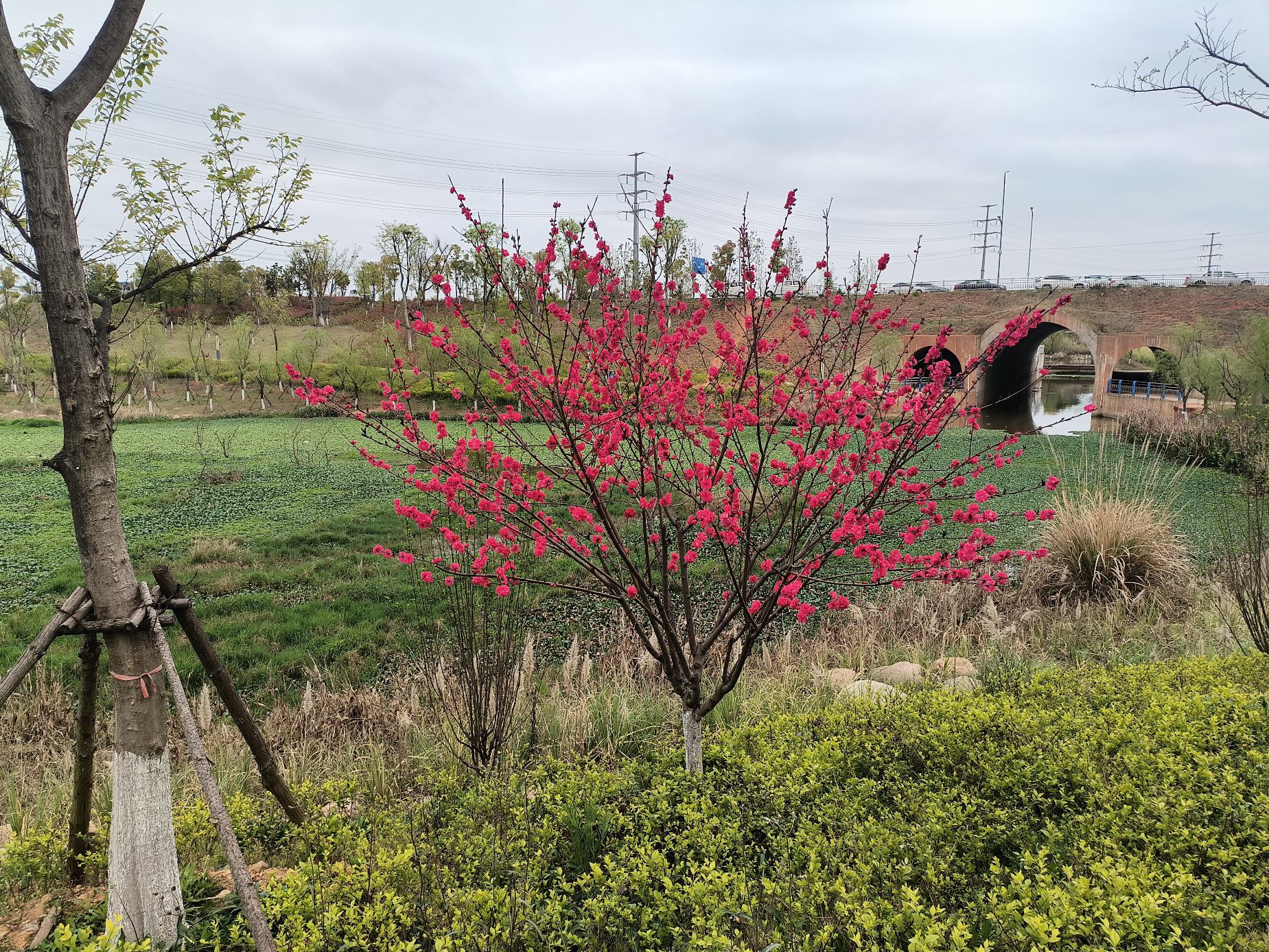唐龙生态公园旅行图片 3