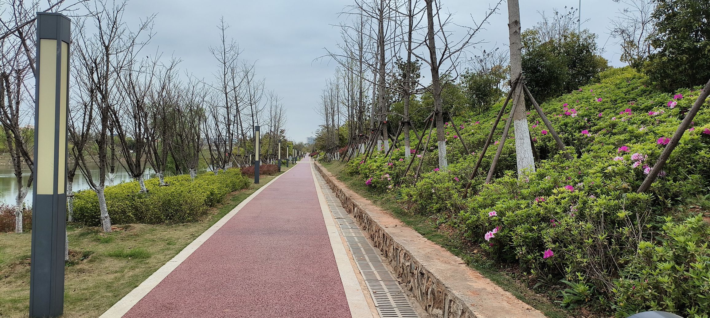 唐龙生态公园旅行图片 1