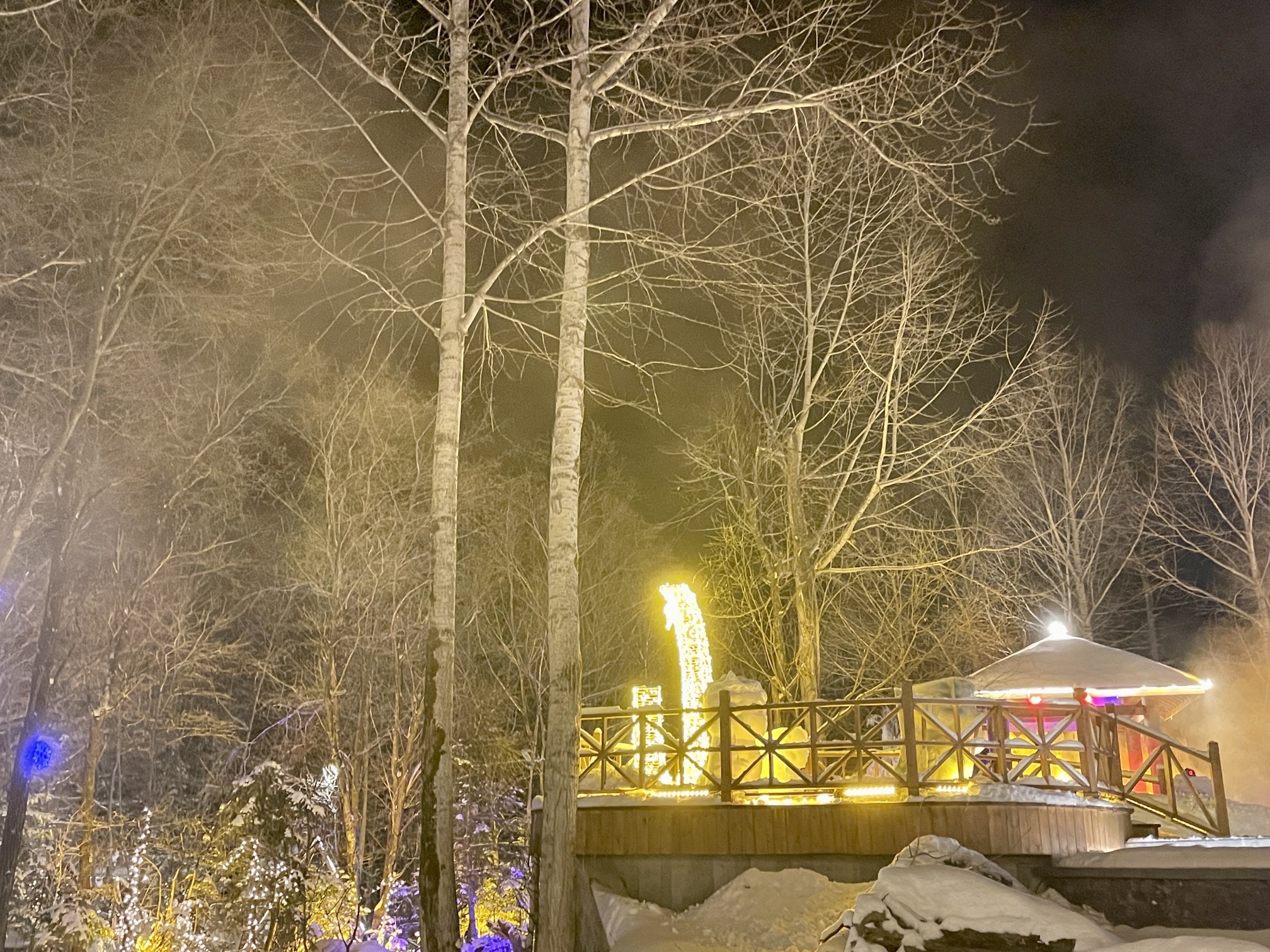 聚龙泉养生会馆旅行图片 2