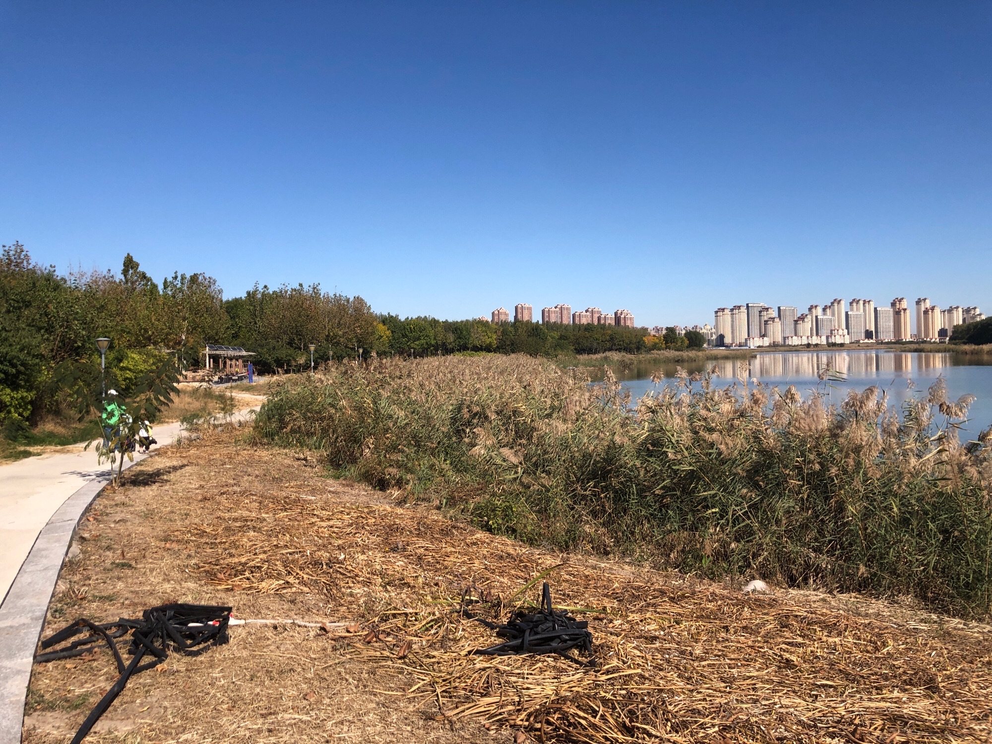丽湖带状公园(暂停开放)旅行图片 2