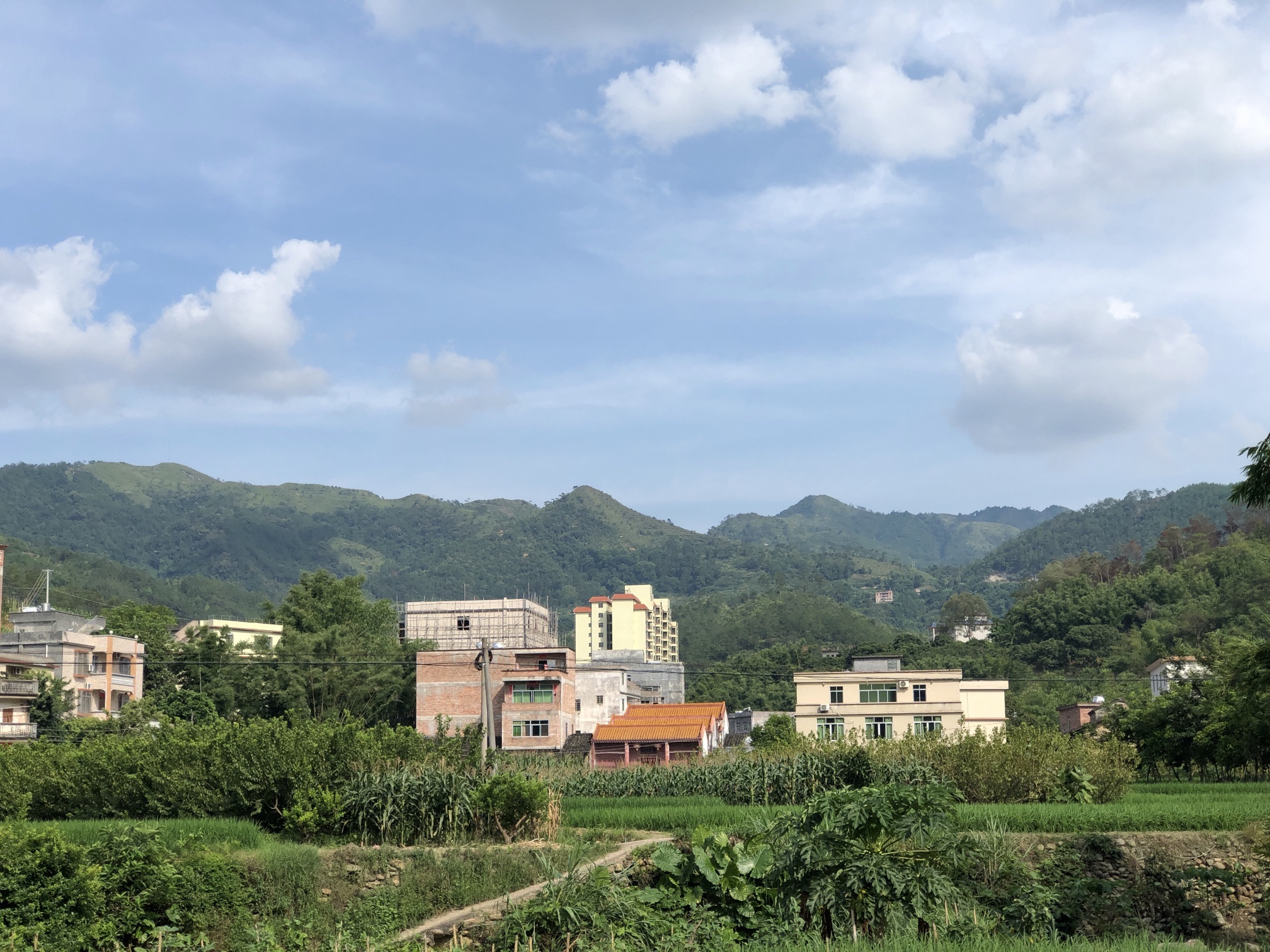 信宜市洪冠镇洪冠经相龙氏祖祠