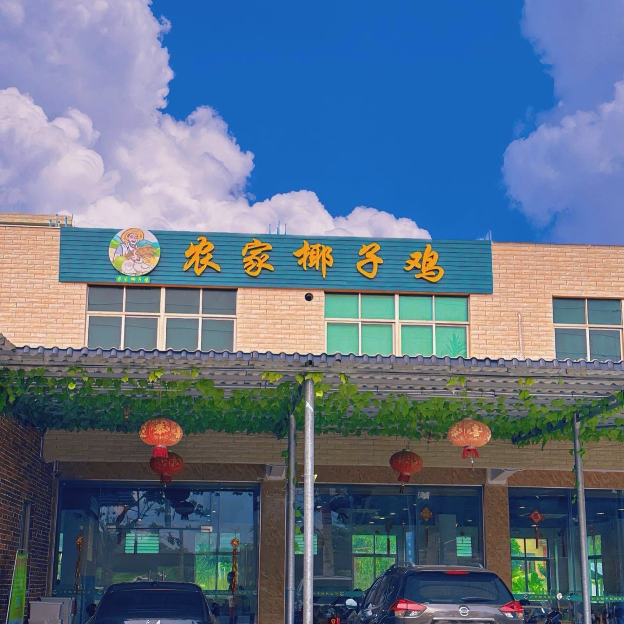 农家椰子鸡(神州半岛店)