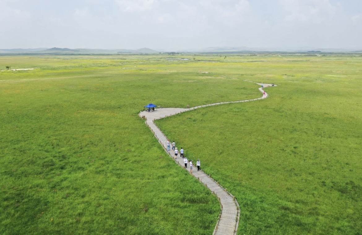 金莲川草原旅游度假区旅行图片 3