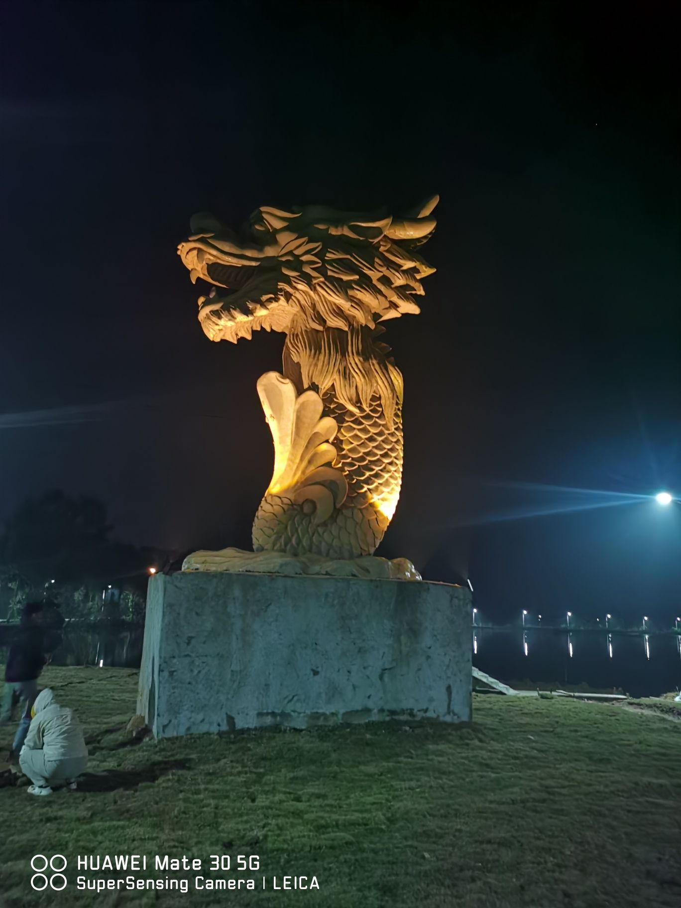 良塘鱼尾龙旅行图片 1