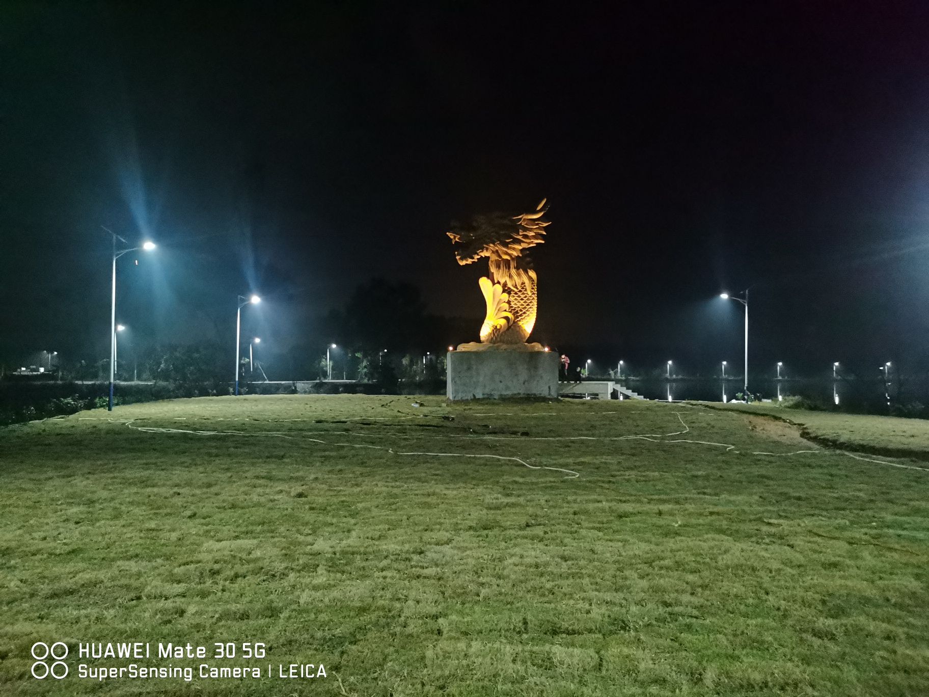 良塘鱼尾龙旅行图片 2
