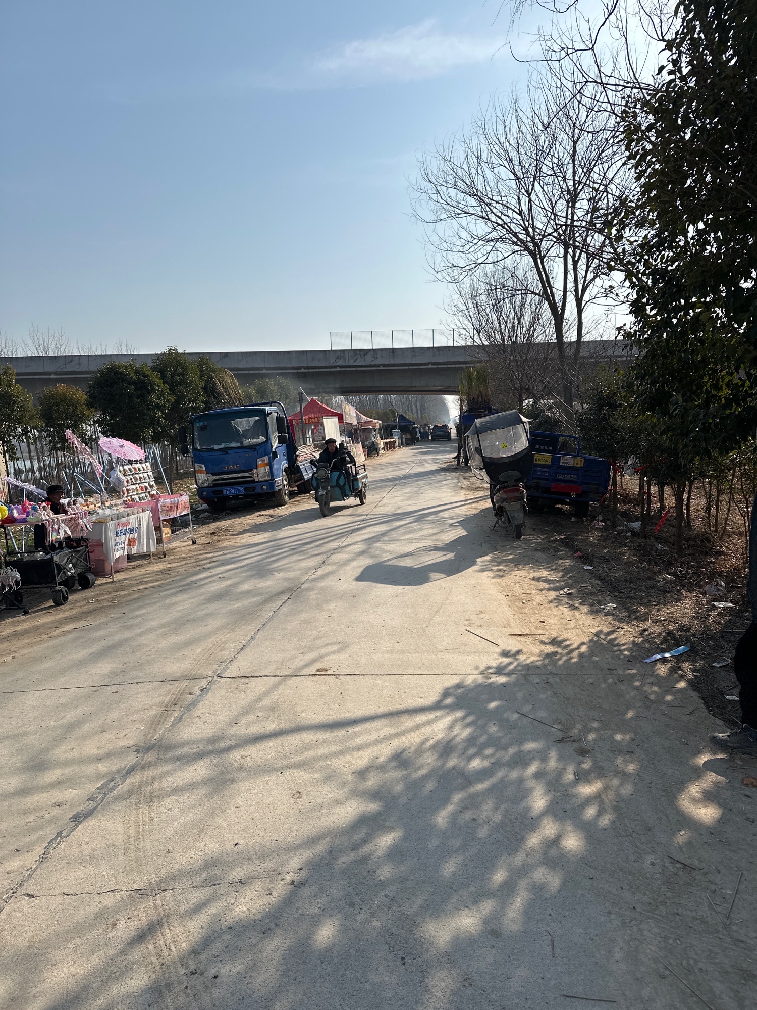 篱笆网红桥旅行图片 1