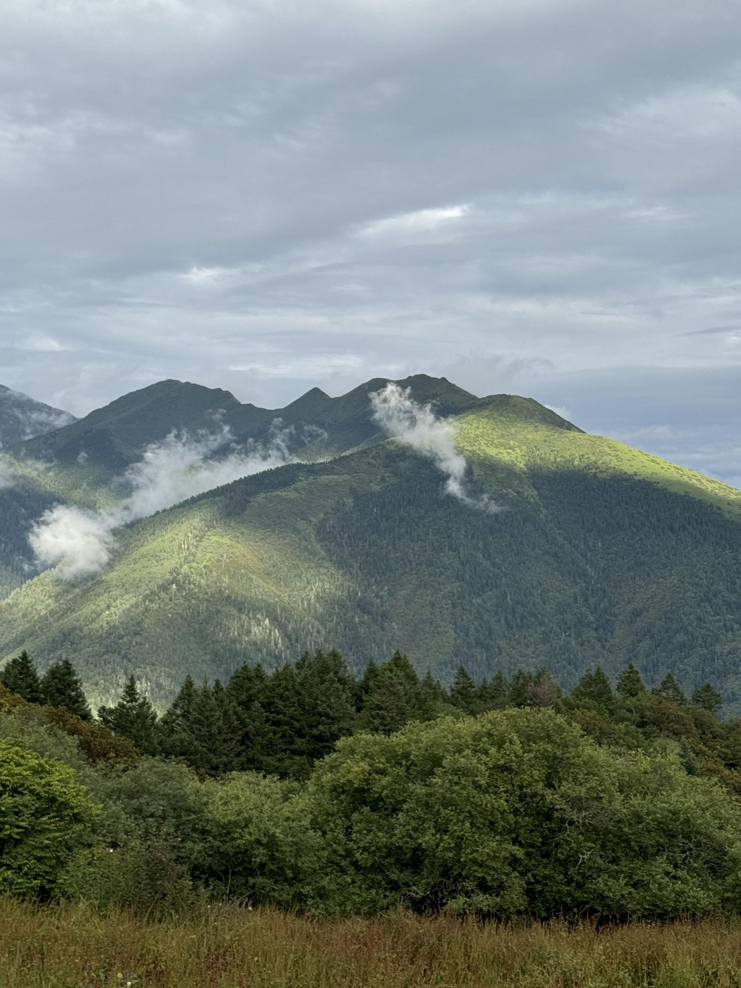 理县二古溪观景台旅行图片 2