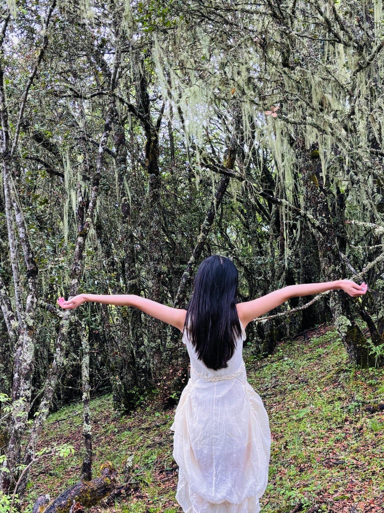 理县二古溪观景台旅行图片 1